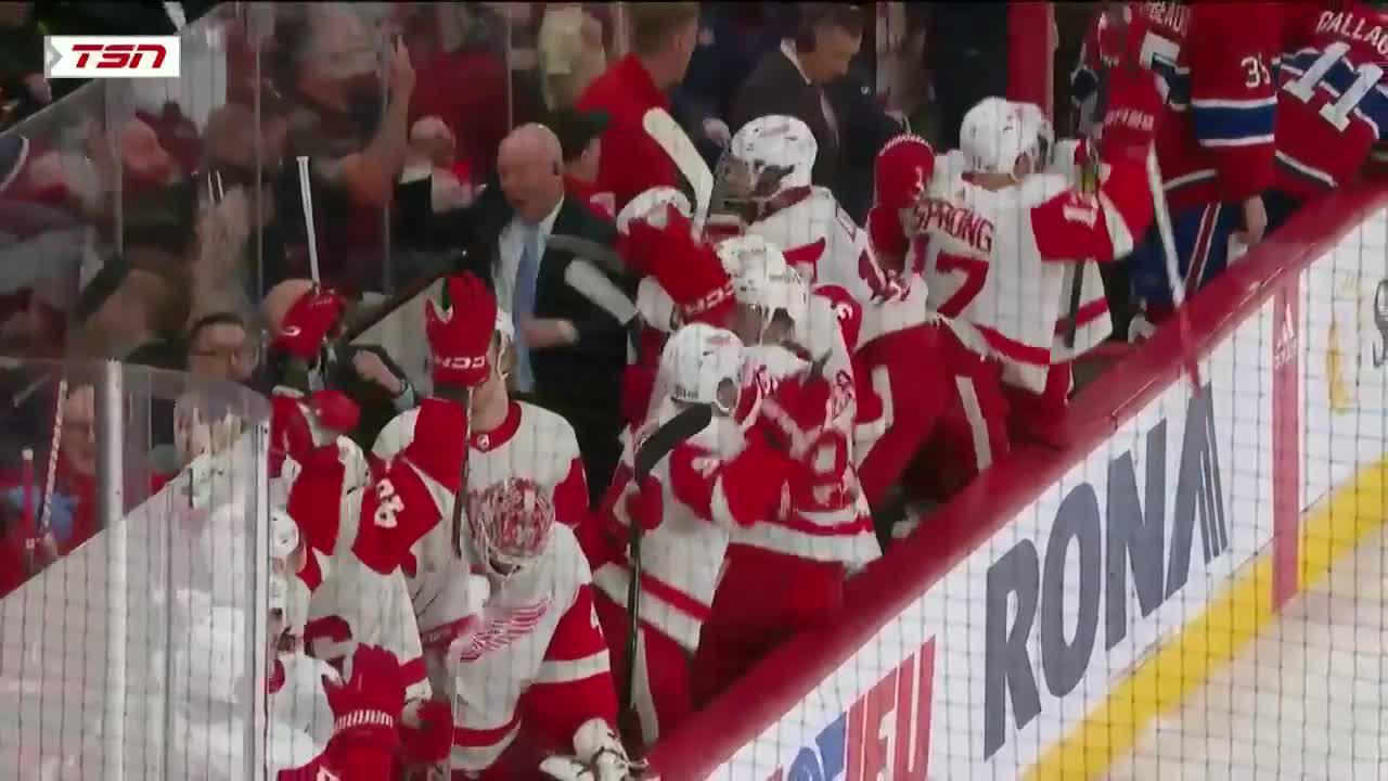 Detroit Red Wings National Hockey League, News, Scores, Highlights