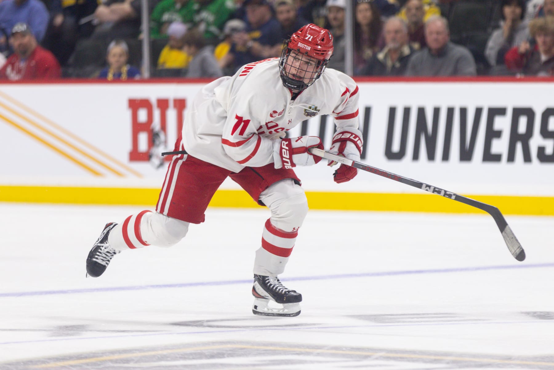 ST. PAUL, MN - APRIL 11: Boston University Terriers forward Macklin Celebrini (71) skates on the ice during the second period of the men's Frozen Four semifinal game between the Boston University Terriers and the Denver Pioneers on April 11th, 2024, in St. Paul, Minnesota. (Photo by Bailey Hillesheim/Icon Sportswire via Getty Images)