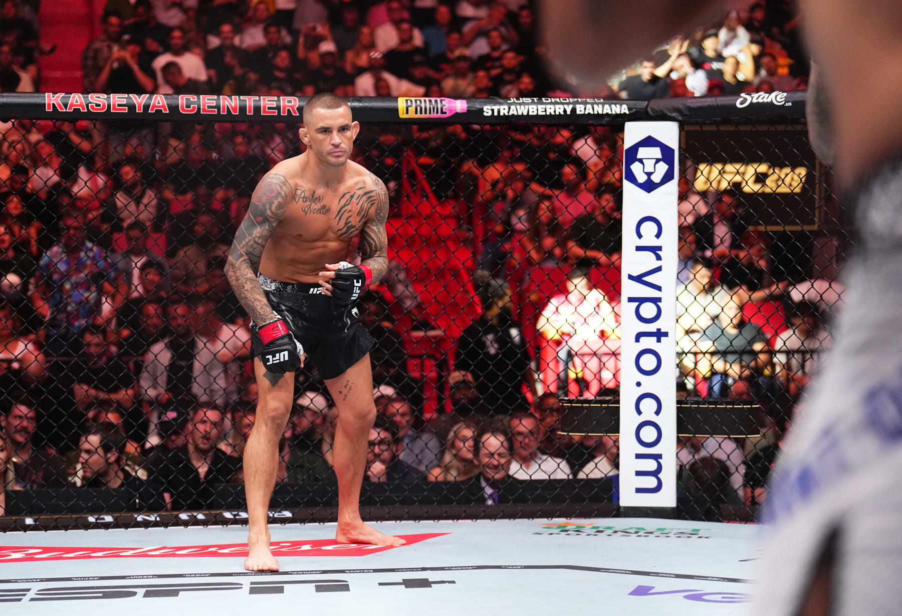Dustin Poirier prepares to face Benoit Saint Denis.