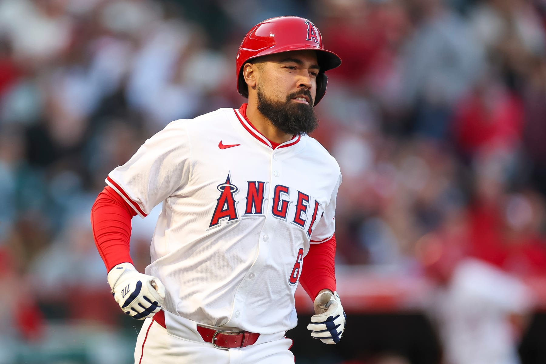 ANAHEIM, CALIFORNIA - APRIL 8: Anthony Rendon #6 of the Los Angeles Angels runs to first on a single during the first inning against the Tampa Bay Rays at Angel Stadium of Anaheim on April 8, 2024 in Anaheim, California. (Photo by Brandon Sloter/Getty Images)