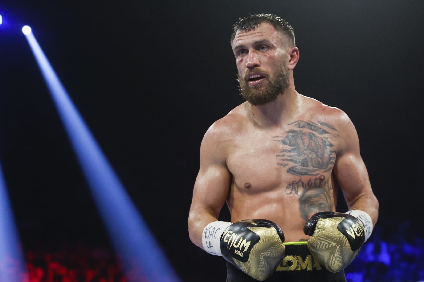 Vasiliy Lomachenko Boxing Career