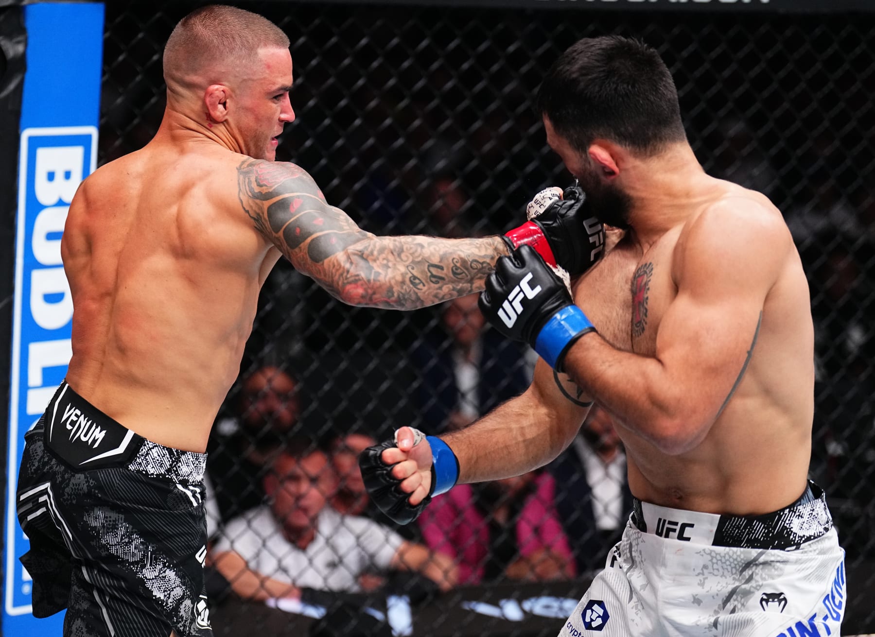 Dustin Poirier punches Benoit Saint Denis