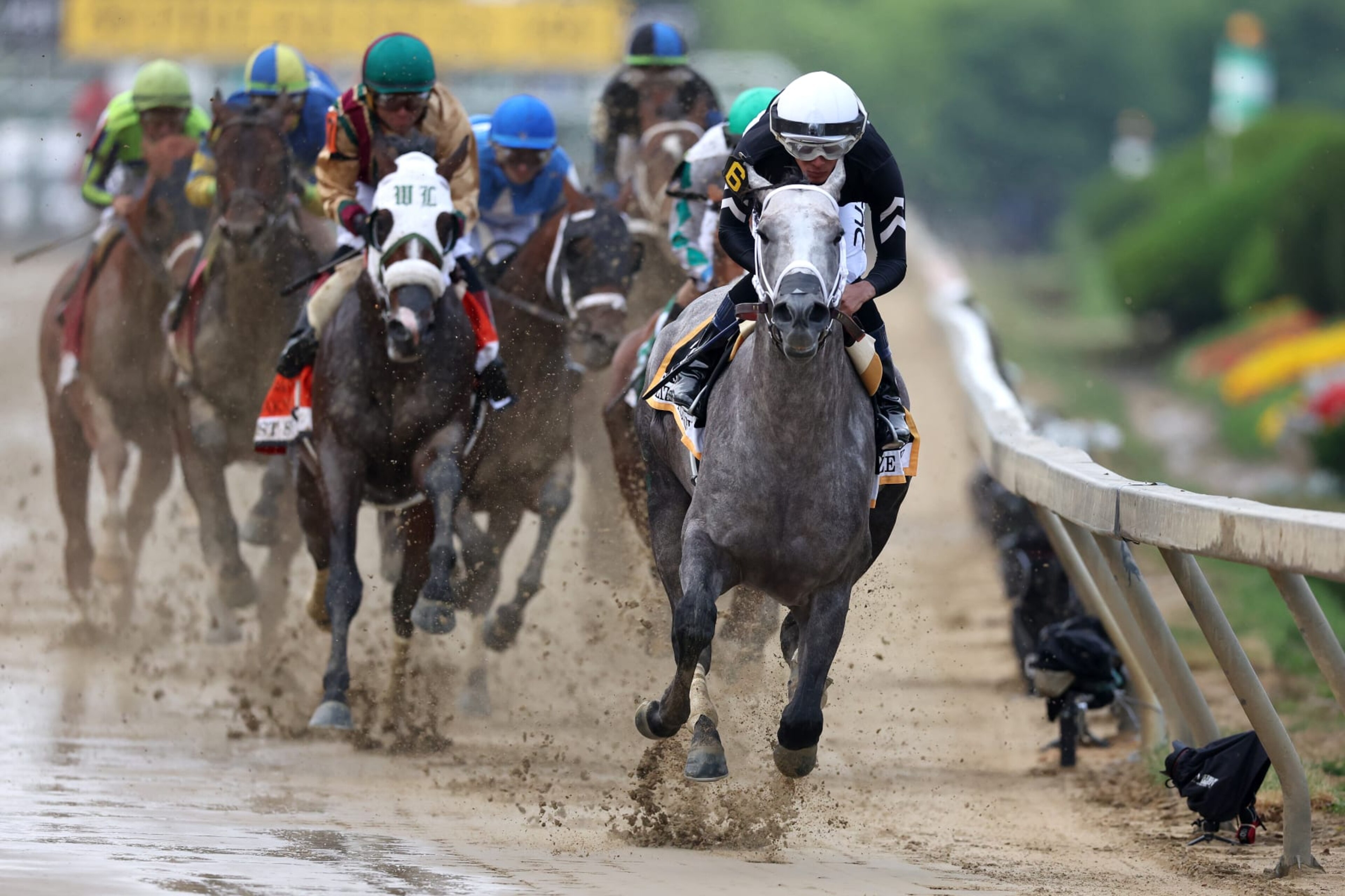 Seize the Grey at the Preakness Seize the Grey at the Preakness