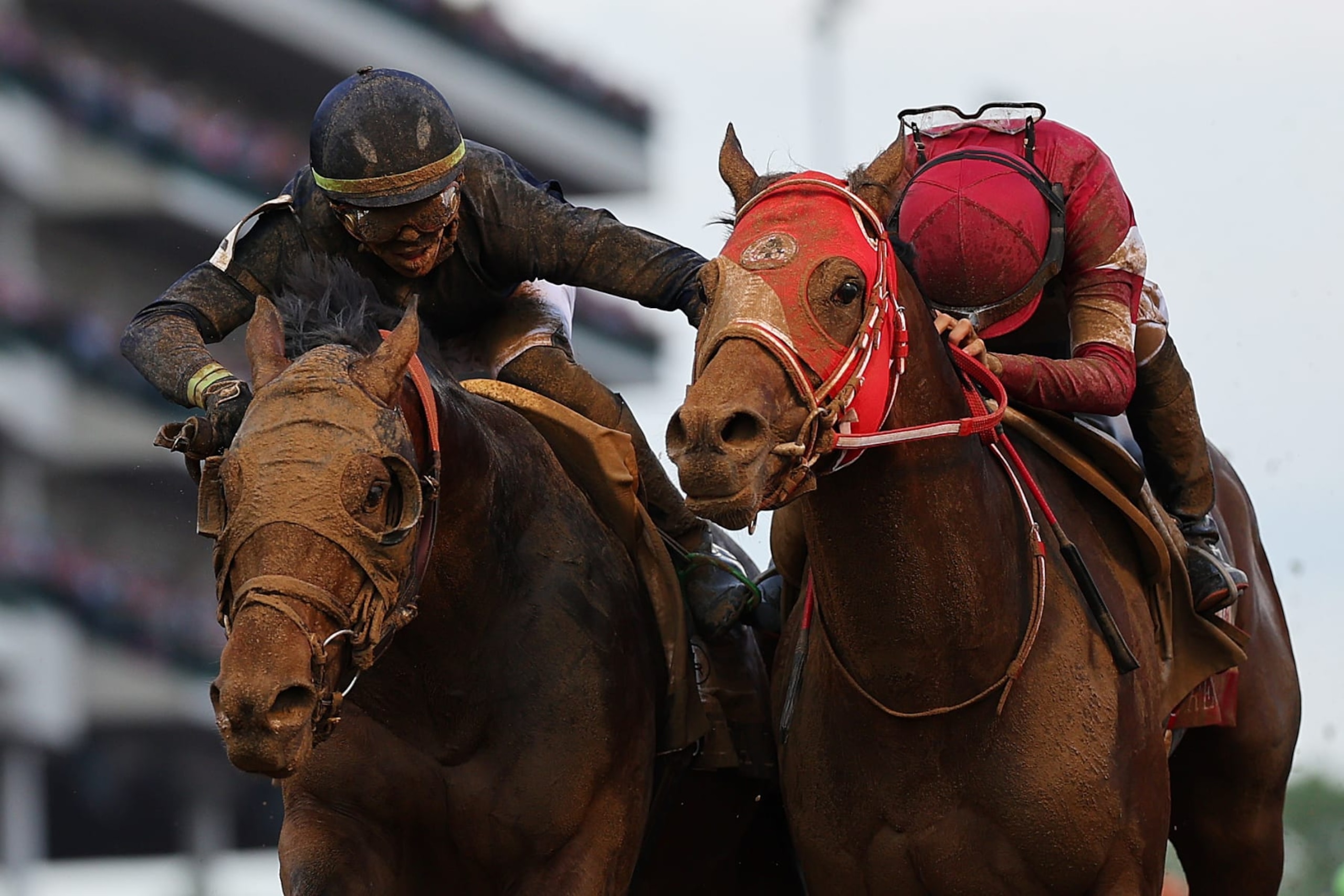 Sierra Leone (left) battles Forever Young (right) down the stretch at the Kentucky Derby