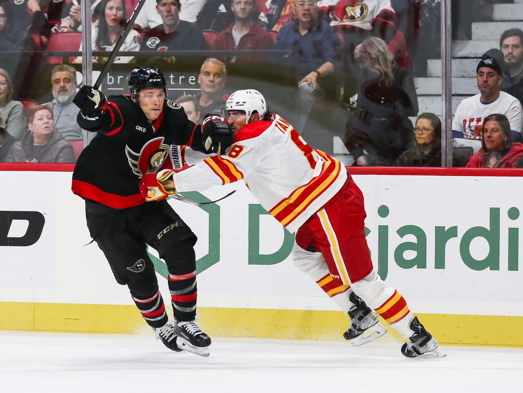 OTTAWA, CANADA - NOVEMBER 11: Jakob Chychrun #6 of the Ottawa Senators battles with Chris Tanev #8 of the Calgary Flames during the second period at Canadian Tire Centre on November 11, 2023 in Ottawa, Ontario, Canada. (Photo by Chris Tanouye/Freestyle Photography/Getty Images)