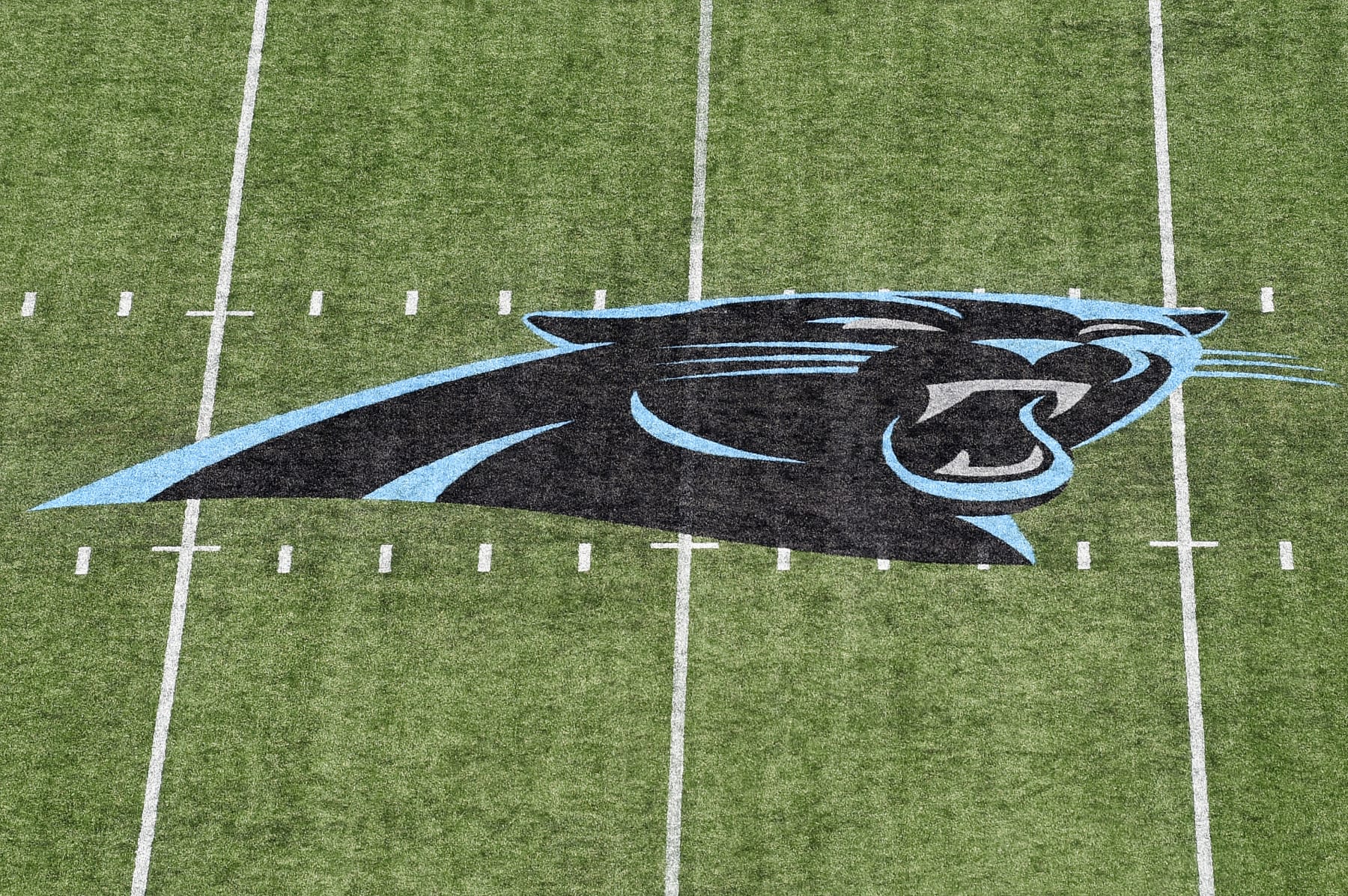 Read more about the article Panthers could get a new stadium in 2046, along with possible renovations to the existing facility