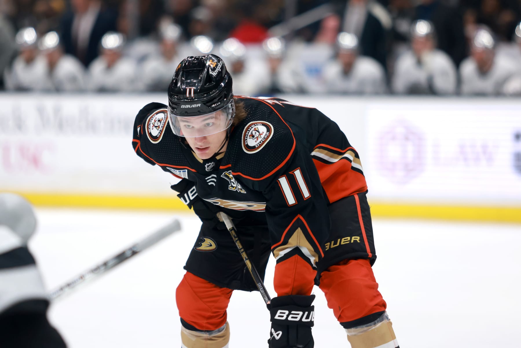 LOS ANGELES, CALIFORNIA - APRIL 13: Trevor Zegras #11 of the Anaheim Ducks prepares for the face-off in the third period during the game against the Los Angeles Kings at Crypto.com Arena on April 13, 2024 in Los Angeles, California. (Photo by Nicole Vasquez/NHLI via Getty Images)