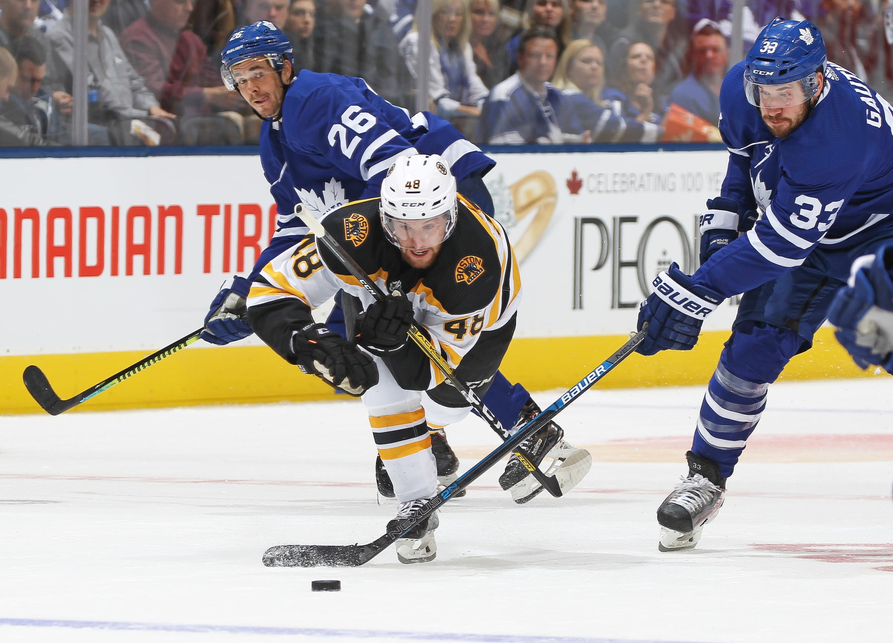 TORONTO, ON - OCTOBER 19: Matt Grzelyck #48 of the Boston Bruins battles against Frederik Gauthier #33 of the Toronto Maple Leafs during an NHL game at Scotiabank Arena on October 19, 2019 in Toronto, Ontario, Canada. The Maple Leafs defeated the Bruins 4-3 in overtime. (Photo by Claus Andersen/Getty Images)