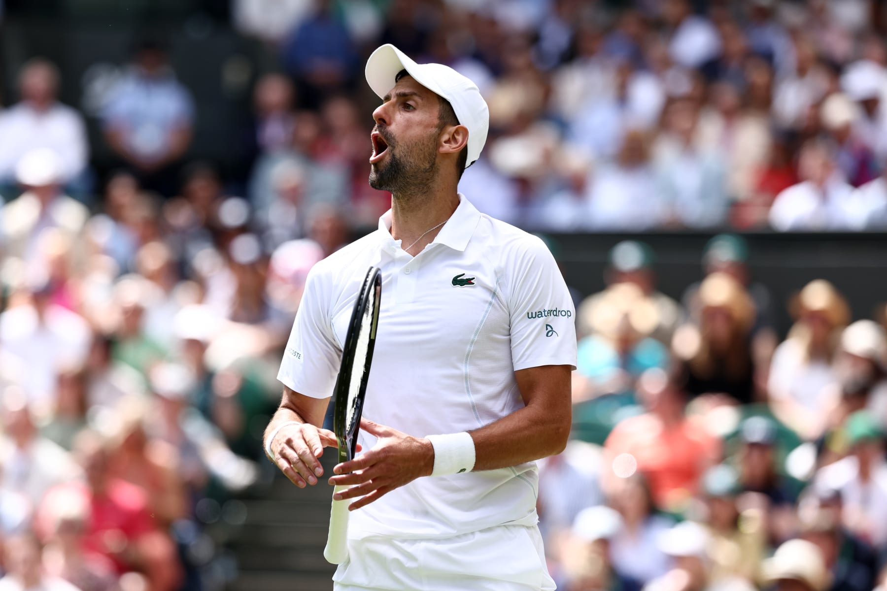 LONDON, ENGLAND - JULY 04: Novak Djokovic of Serbia shouts as he plays against Jacob Fearnley of Great Britain in his Gentleman's Singles second round match during day four of The Championships Wimbledon 2024 at All England Lawn Tennis and Croquet Club on July 04, 2024 in London, England. (Photo by Francois Nel/Getty Images)