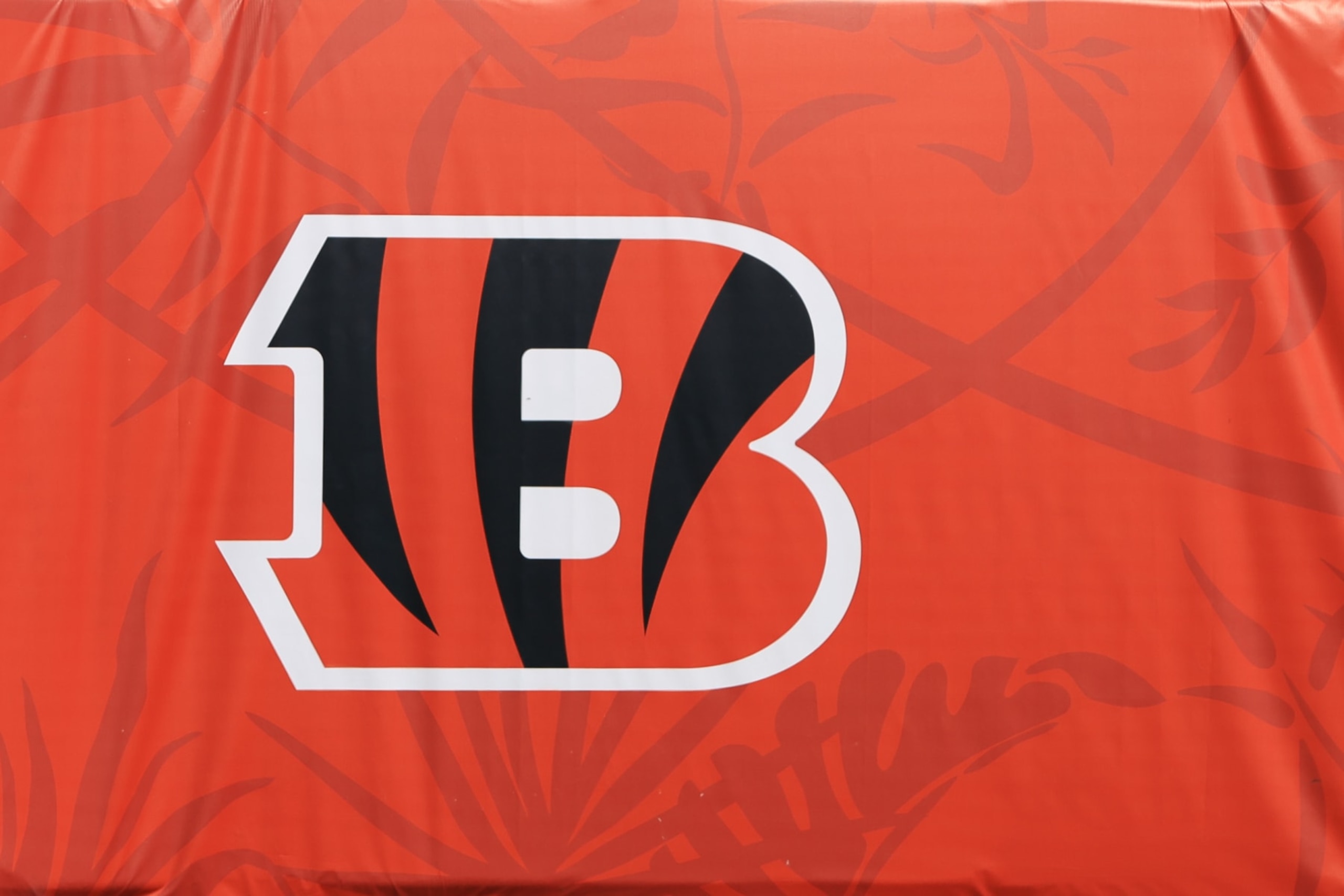 CINCINNATI, OH - OCTOBER 10: a Cincinnati Bengals logo before the game against the Green Bay Packers and the Cincinnati Bengals on October 10, 2021, at Paul Brown Stadium in Cincinnati, OH. (Photo by Ian Johnson/Icon Sportswire via Getty Images)