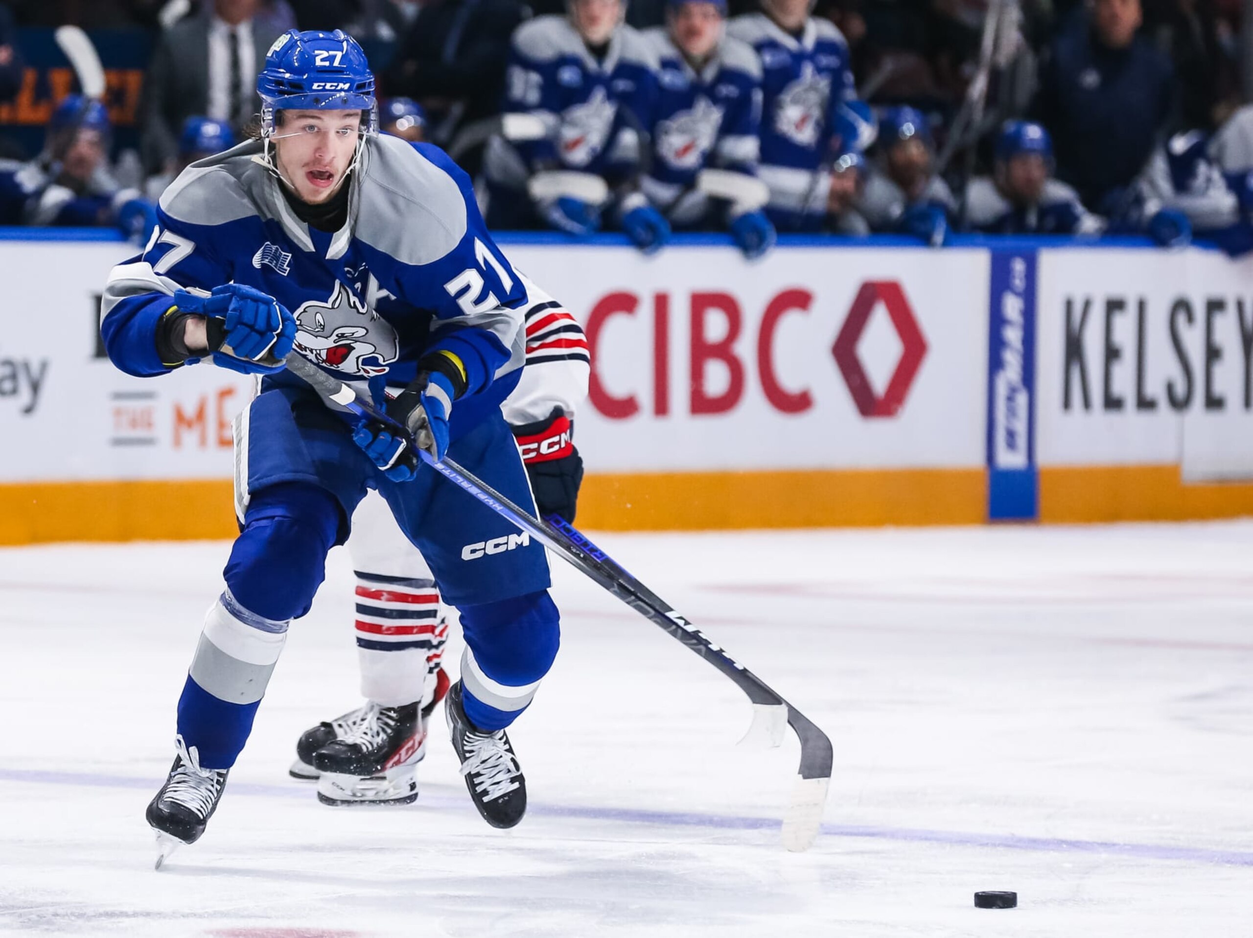 OSHAWA, CANADA - NOVEMBER 26: Quentin Musty #27 of the Sudbury Wolves skates against the Oshawa Generals at Tribute Communities Centre on November 26, 2023 in Oshawa, Ontario, Canada. (Photo by Chris Tanouye/Getty Images)