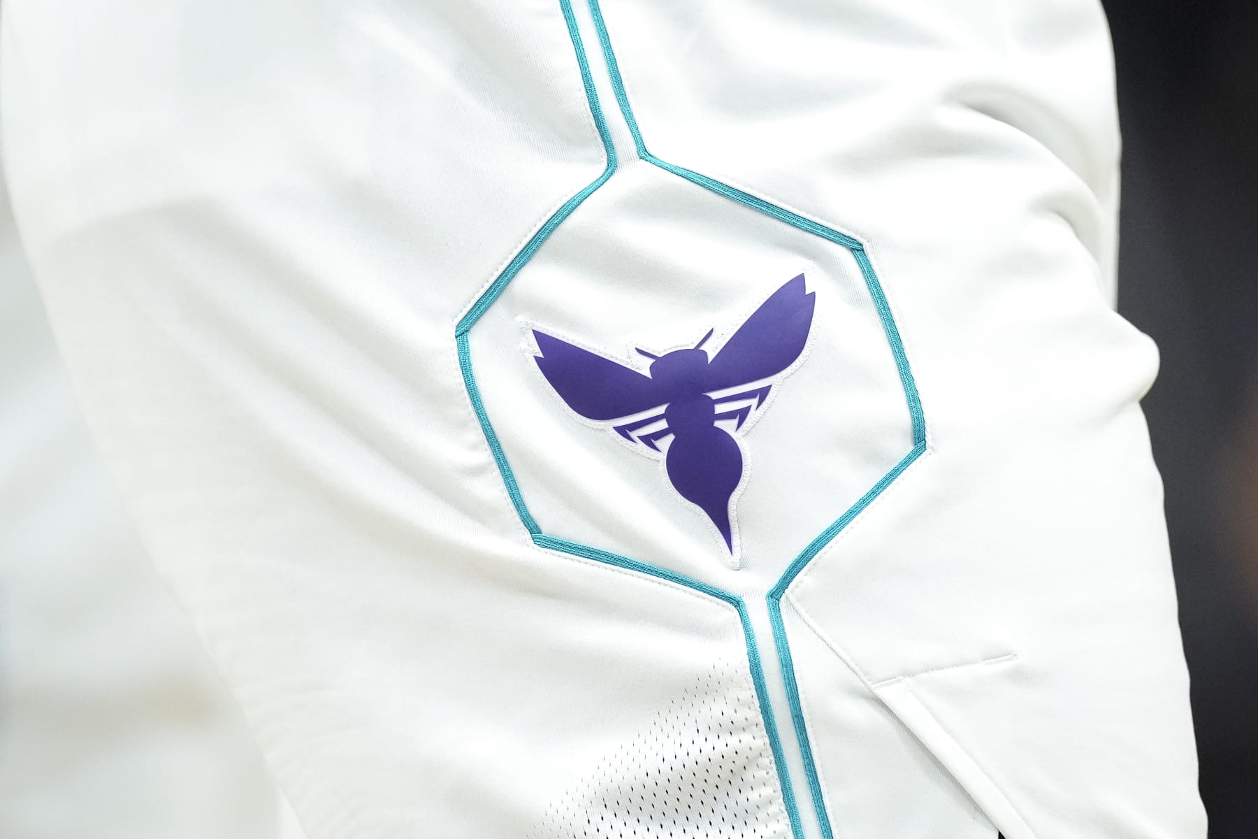 DETROIT, MICHIGAN - MARCH 11: The Charlotte Hornets logo on a uniform against the Detroit Pistons at Little Caesars Arena on March 11, 2024 in Detroit, Michigan. NOTE TO USER: User expressly acknowledges and agrees that, by downloading and or using this photograph, User is consenting to the terms and conditions of the Getty Images License Agreement. (Photo by Nic Antaya/Getty Images)