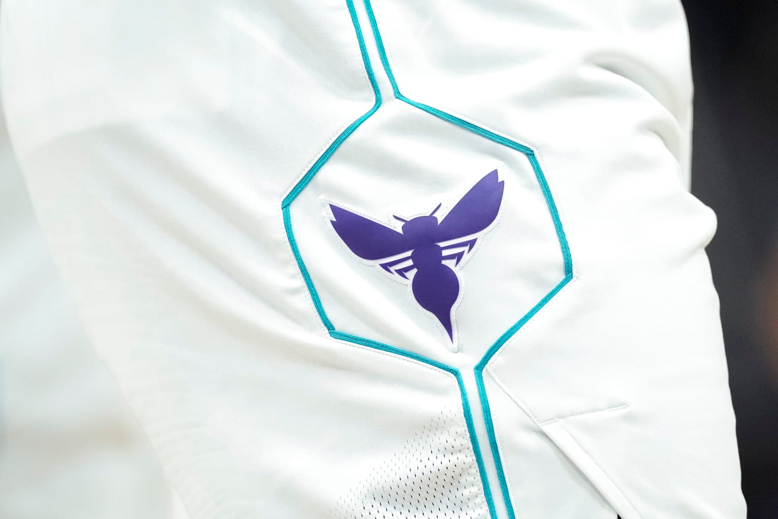 DETROIT, MICHIGAN - MARCH 11: The Charlotte Hornets logo on a uniform against the Detroit Pistons at Little Caesars Arena on March 11, 2024 in Detroit, Michigan. NOTE TO USER: User expressly acknowledges and agrees that, by downloading and or using this photograph, User is consenting to the terms and conditions of the Getty Images License Agreement. (Photo by Nic Antaya/Getty Images)
