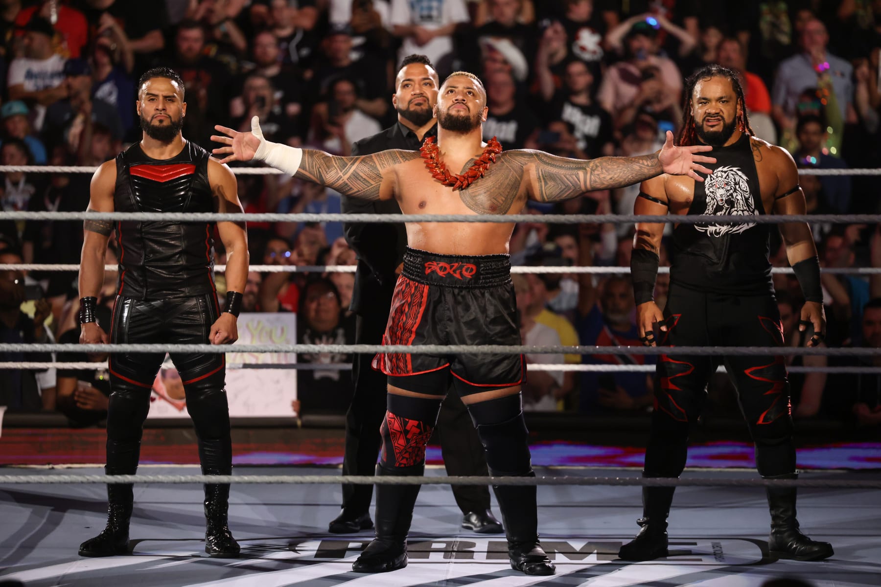 TORONTO, CANADA - JULY 6: The Bloodline enter the ring during Money in the Bank at Scotiabank Arena on July 6, 2024 in Toronto, Ontario.  (Photo by WWE/Getty Images)