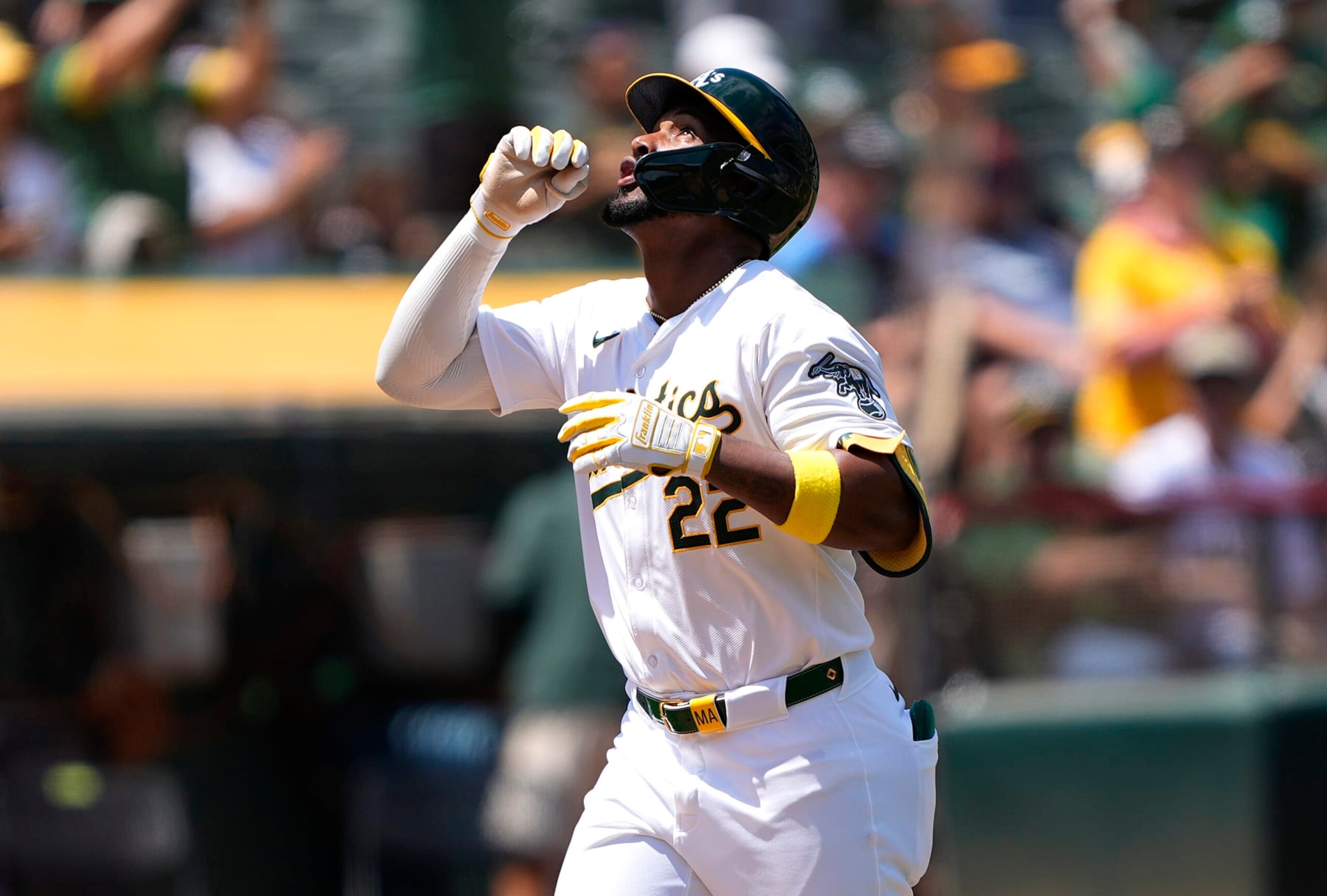 Miguel Andujar