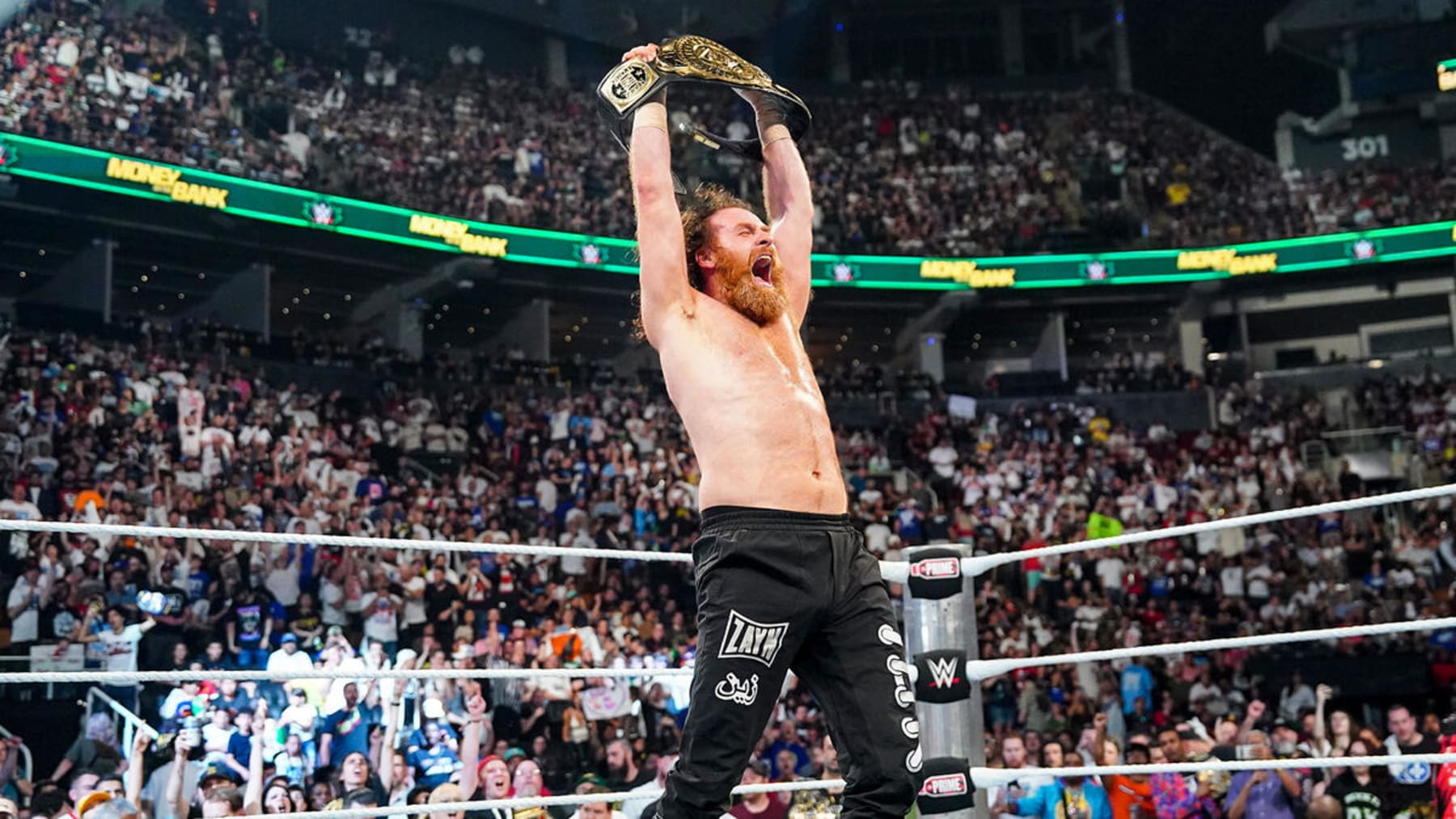 Sami Zayn's quest for the World Heavyweight Championship could begin at the Royal Rumble.