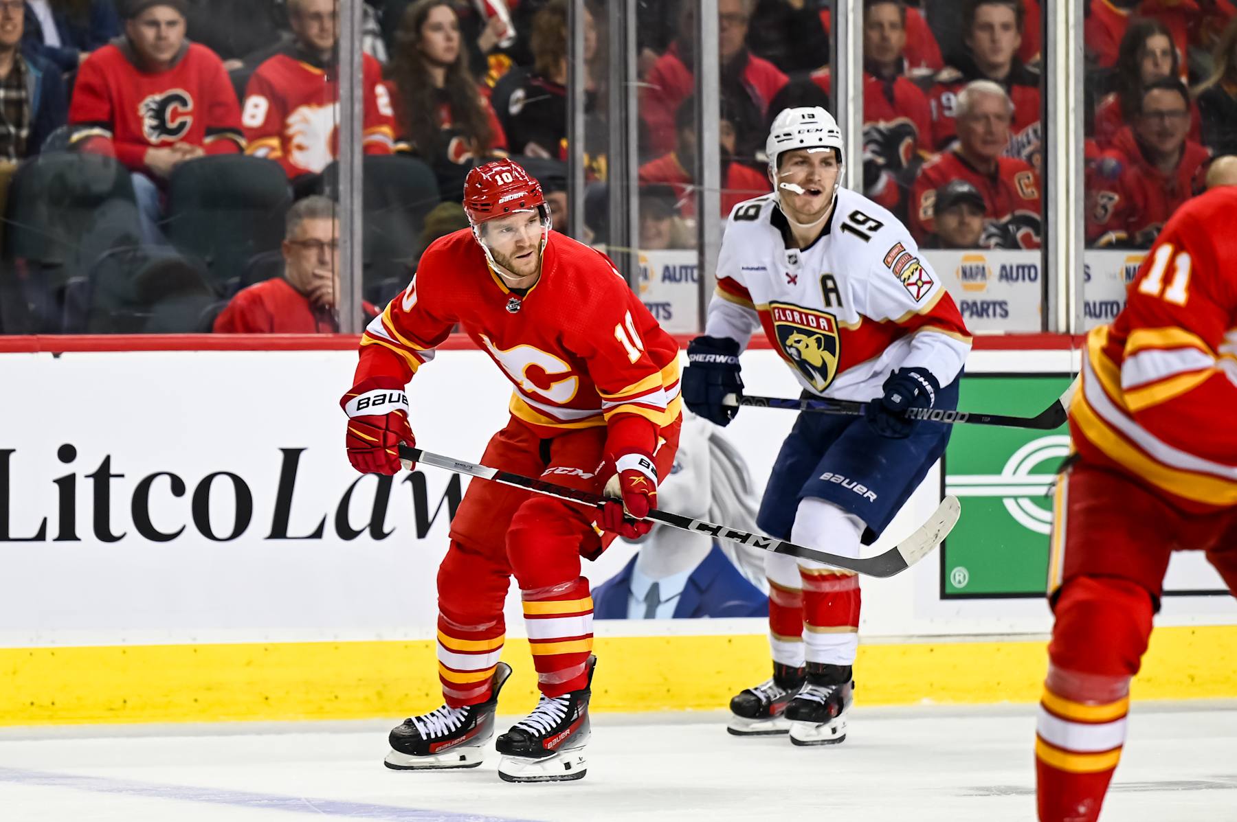 NHL News
