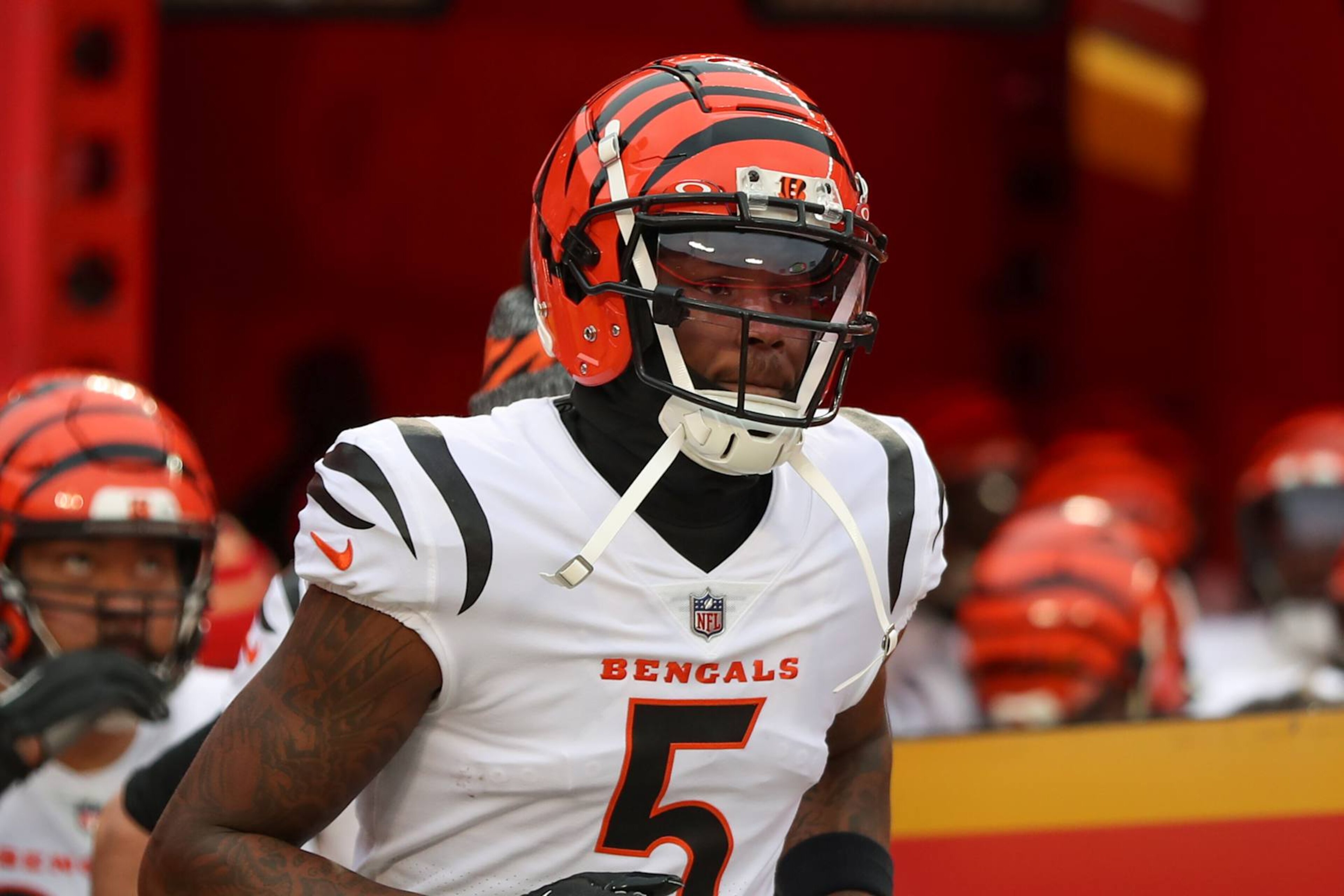 Tee Higgins