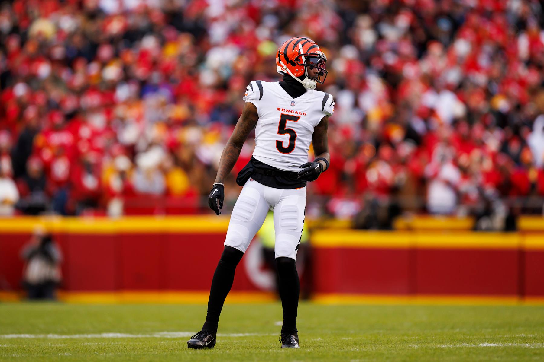 Bengals WR Tee Higgins