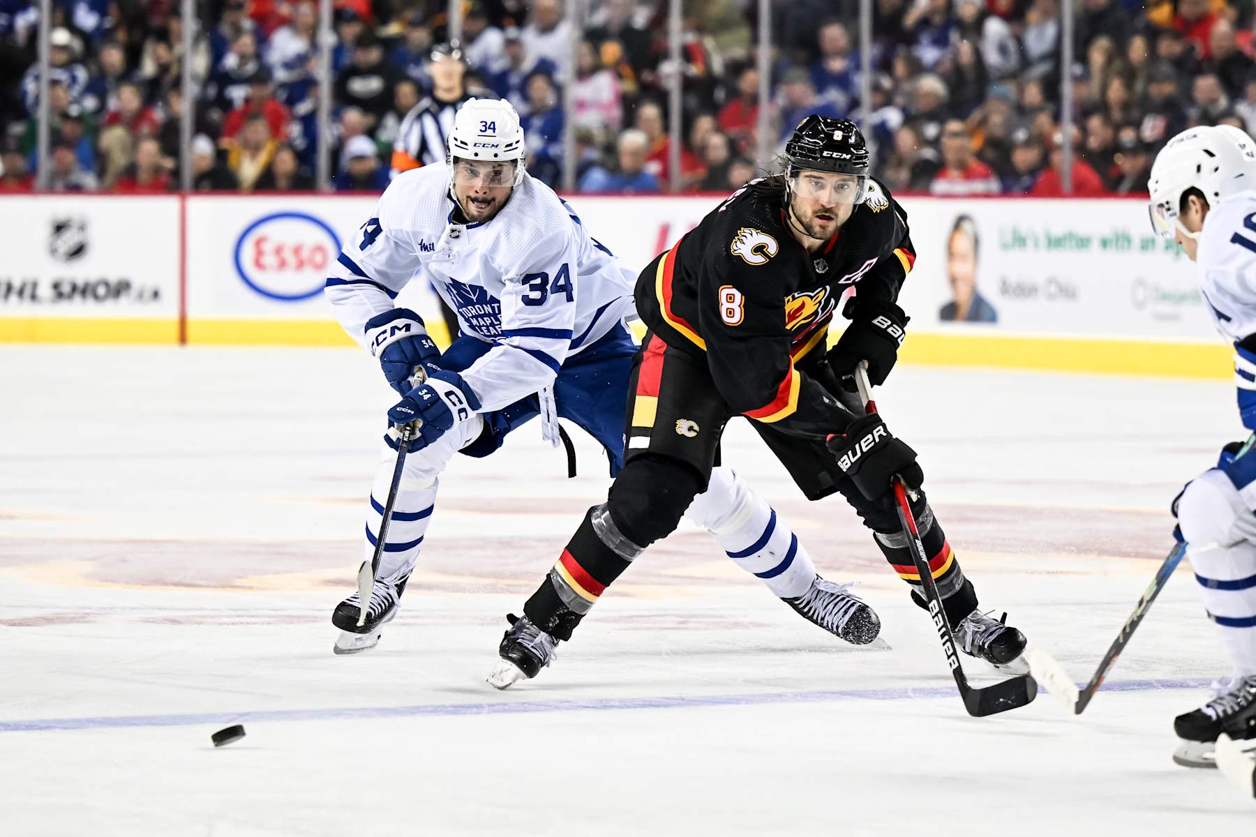 CALGARY, AB - MARCH 02: Toronto Maple Leafs Center Auston Matthews (34) and Calgary Flames Defenceman Chris Tanev (8) chase after a loose puck during the third period of an NHL game between the Calgary Flames and the Toronto Maple Leafs on March 2, 2023, at the Scotiabank Saddledome in Calgary, AB. (Photo by Brett Holmes/Icon Sportswire via Getty Images)
