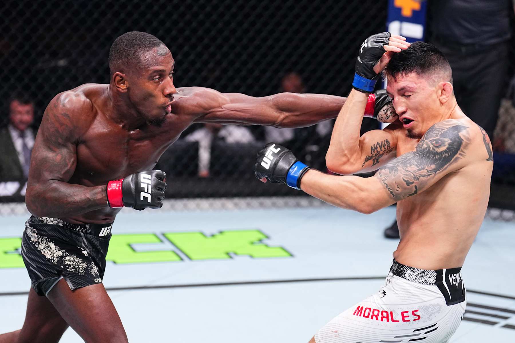 PARIS, FRANCE - SEPTEMBER 28: (L-R) Taylor Lapilus of France punches Vince Morales in a bantamweight fight during the UFC Fight Night event at The Accor Arena on September 28, 2024 in Paris, France. (Photo by Chris Unger/Zuffa LLC)