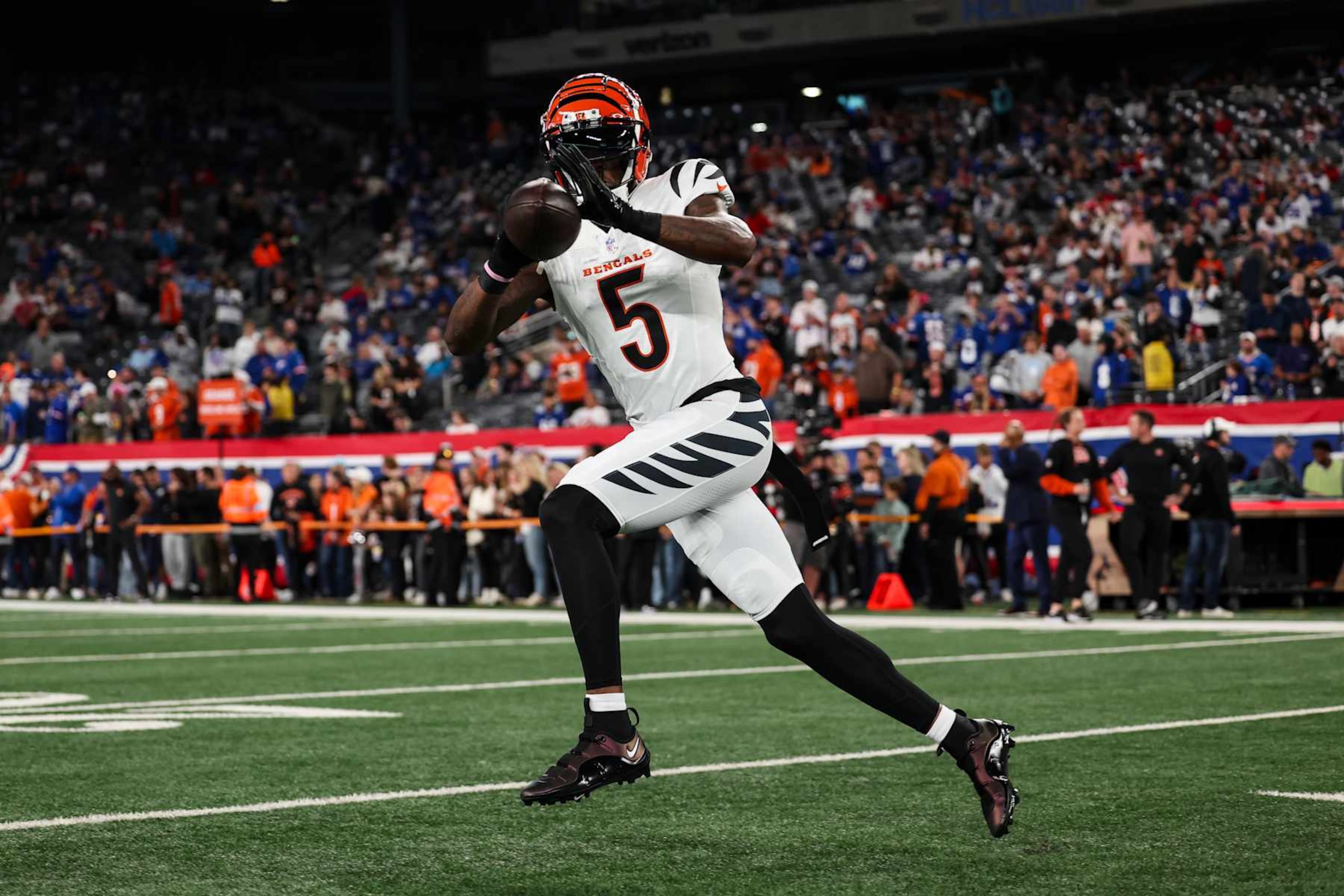 Tee Higgins