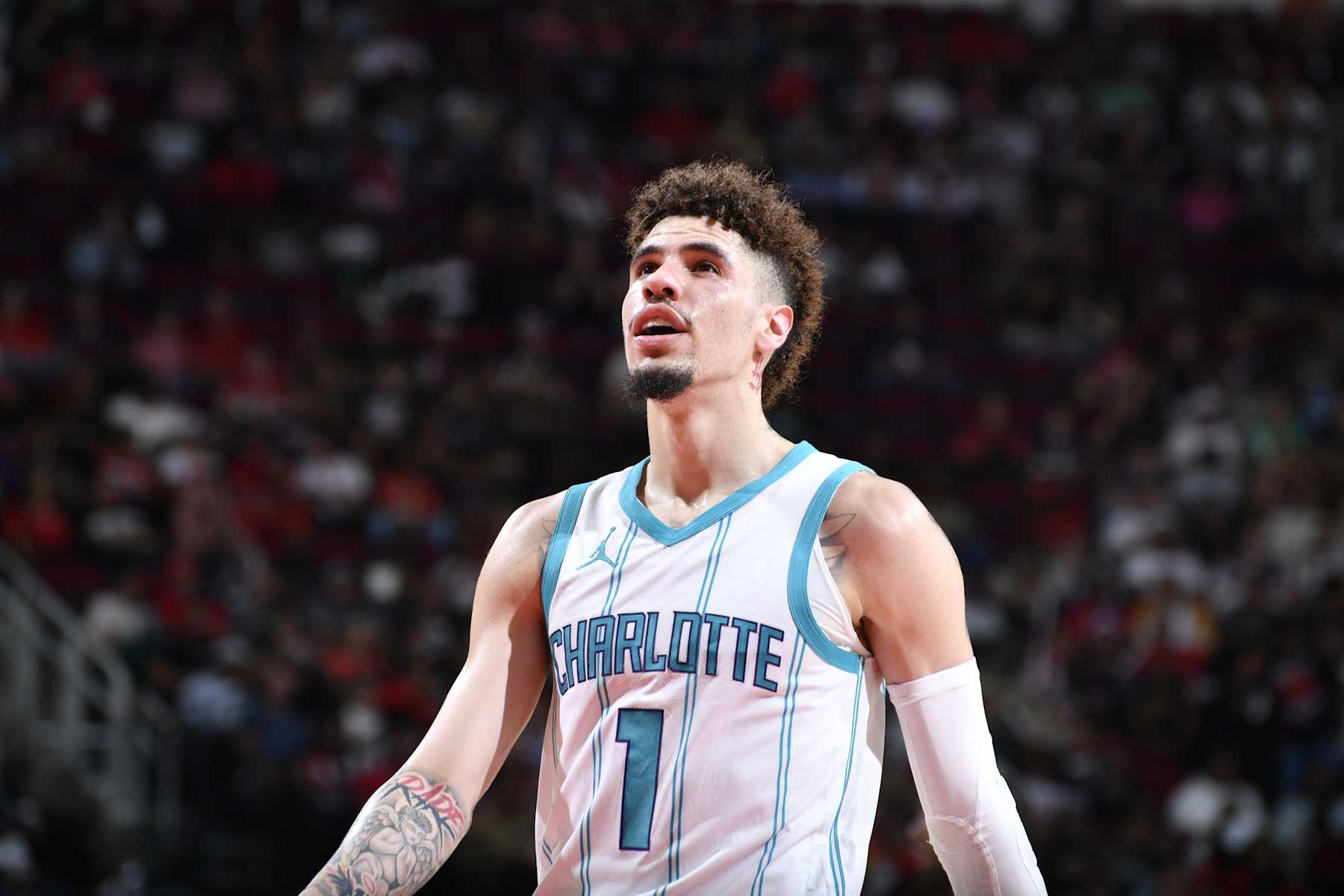 HOUSTON, TX - OCTOBER 23:  LaMelo Ball #1 of the Charlotte Hornets looks on during the game against the Houston Rockets during a regular season game on October 23, 2024 at the Toyota Center in Houston, Texas. NOTE TO USER: User expressly acknowledges and agrees that, by downloading and or using this photograph, User is consenting to the terms and conditions of the Getty Images License Agreement. Mandatory Copyright Notice: Copyright 2024 NBAE (Photo by Logan Riely/NBAE via Getty Images)