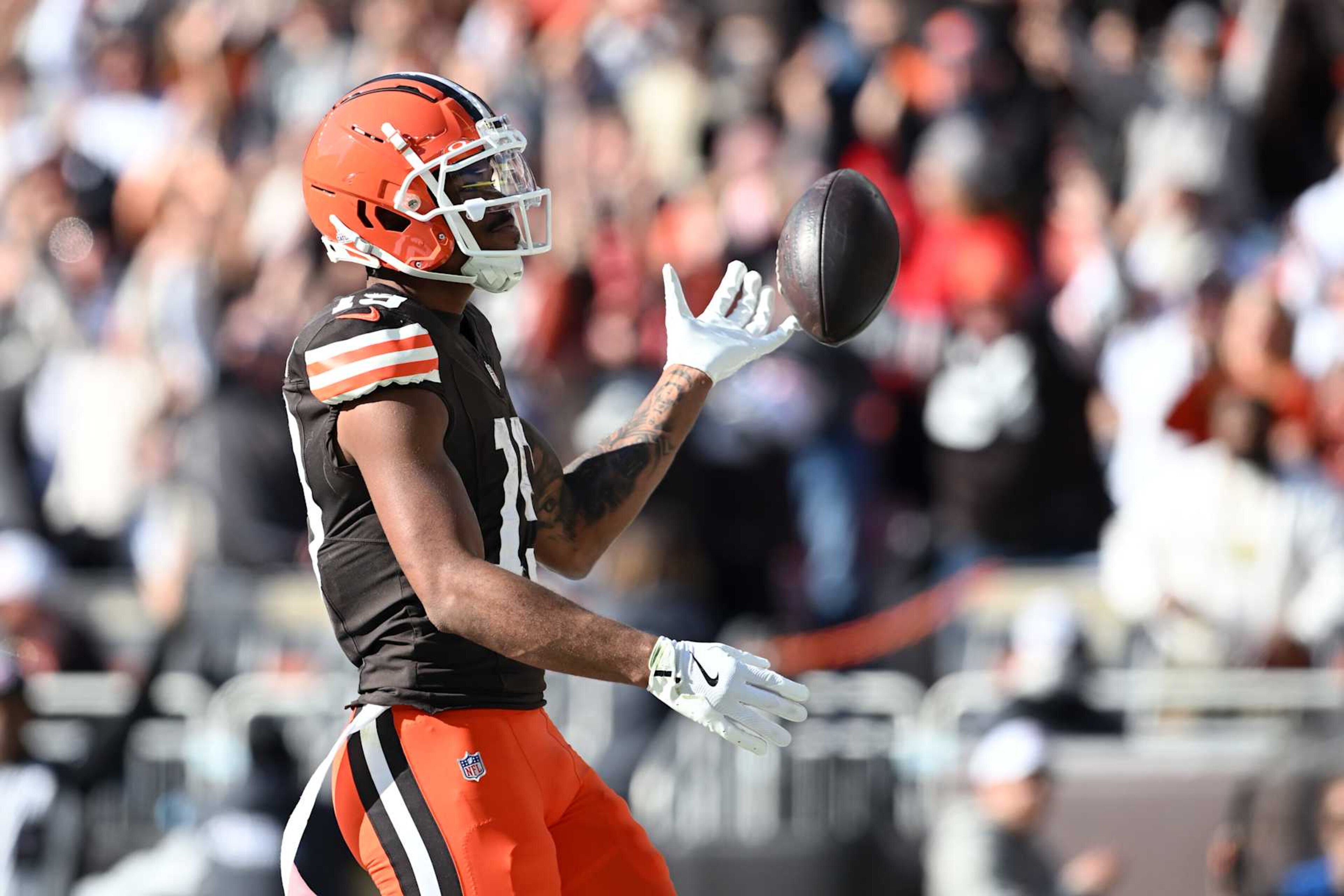CLEVELAND, OHIO - OCTOBER 27: Cedric Tillman #19 of the Cleveland Browns celebrates after receiving touchdown in the fourth quarter of a game against the Baltimore Ravens at Huntington Bank Field on October 27, 2024 in Cleveland, Ohio. (Photo by Nick Cammett/Getty Images)