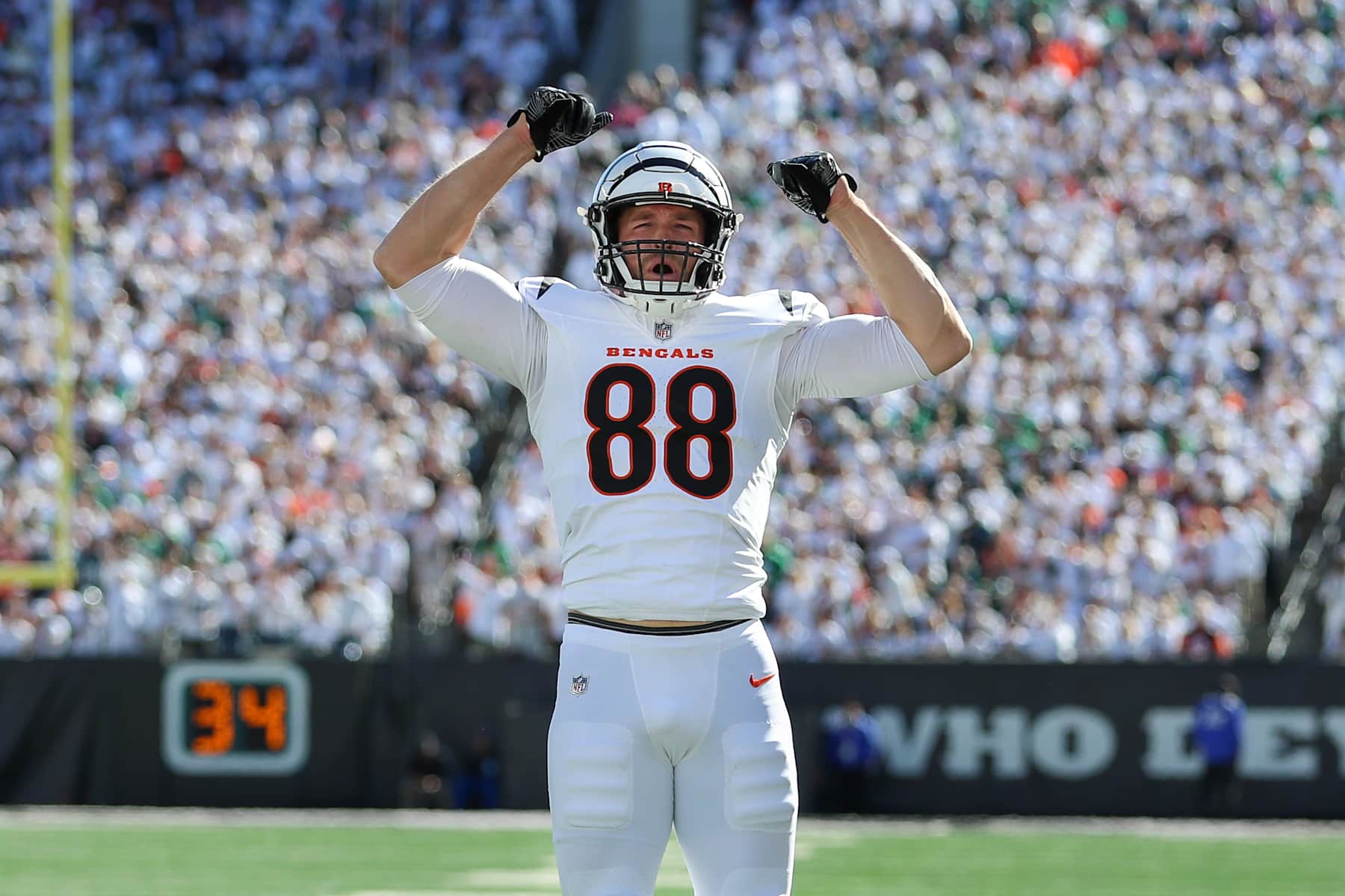 CINCINNATI, OH - OCTOBER 27: Cincinnati Bengals tight end Mike Gesicki (88) reacts during the game against the Philadelphia Eagles and the Cincinnati Bengals on October 27, 2024, at Paycor Stadium in Cincinnati, OH. (Photo by Ian Johnson/Icon Sportswire via Getty Images)