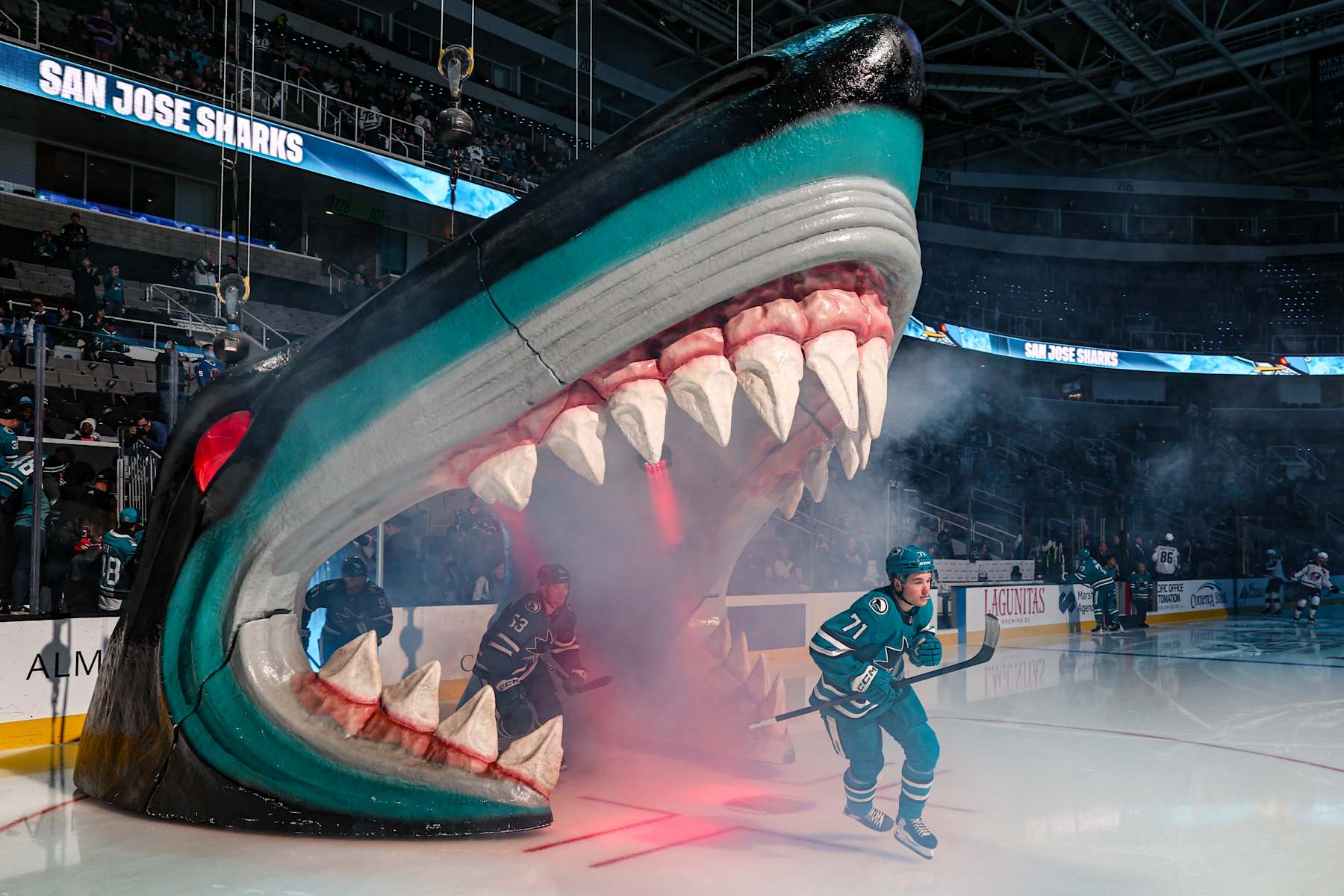 SAN JOSE, CANOVEMBER 5: Macklin Celebrini #71 of the San Jose Sharks skates onto the ice before a game against the Columbus Blue Jackets at SAP Center on November 5, 2024 (Photo by Panayiota Good/NHLI via Getty Images)