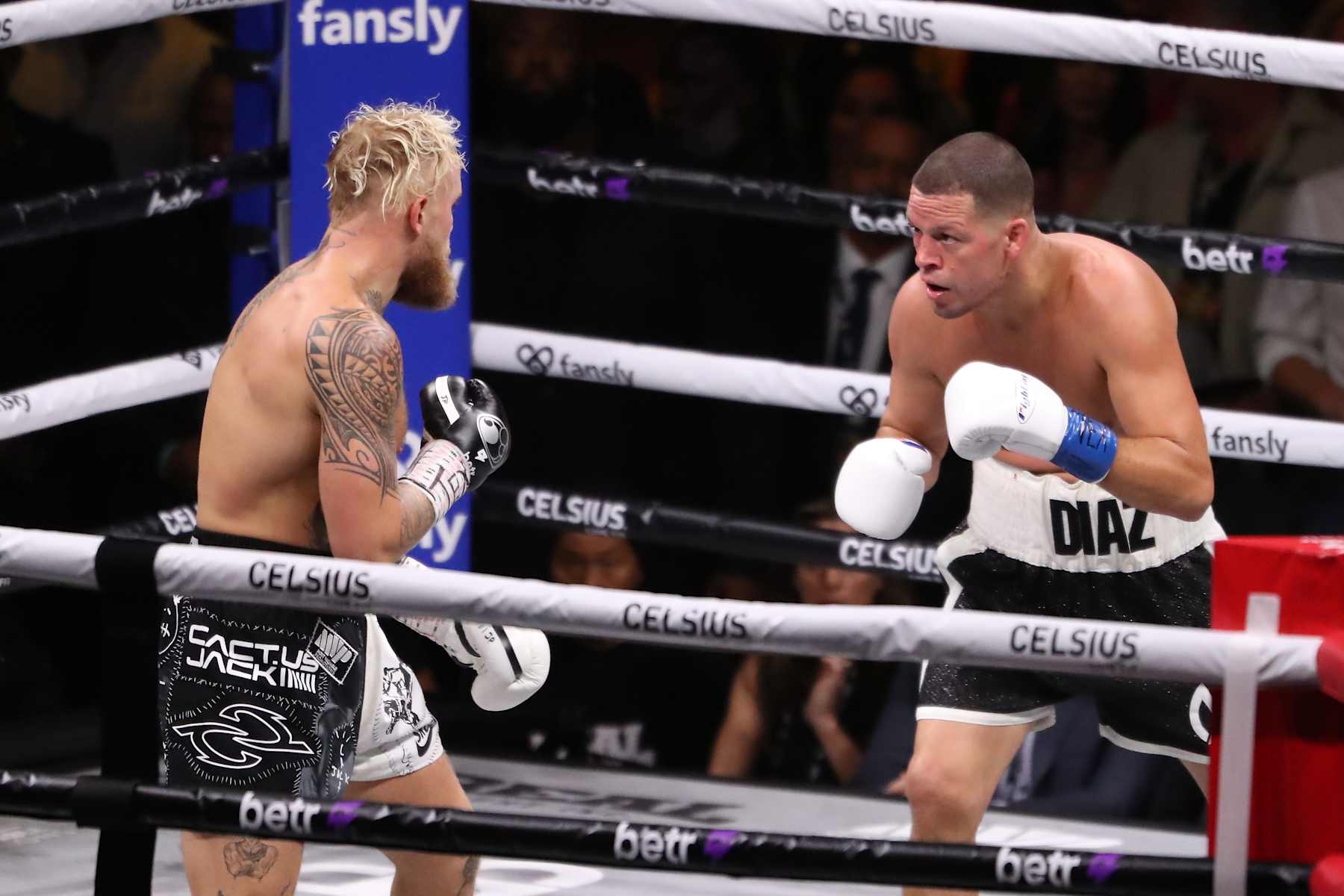 Jake Paul and Nate Diaz square off in the boxing ring