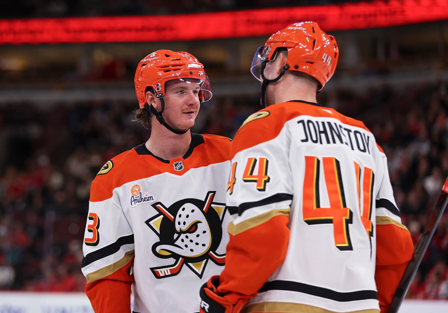 CHICAGO, IL - NOVEMBER 19: Drew Helleson #43 of the Anaheim Ducks chats with Ross Johnston #44 of the Anaheim Ducks during the third period against the Chicago Blackhawks on November, 19, 2024 at the United Center in Chicago, Illinois. (Photo by Melissa Tamez/Icon Sportswire via Getty Images)