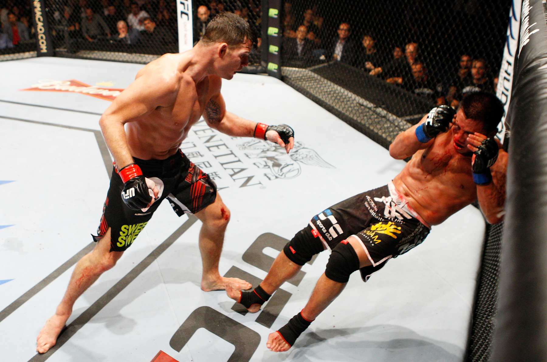 MACAU - AUGUST 23: Cung Le is dropped by a knee by Michael Bisping in their middleweight fight during the UFC Fight Night event at the Venetian Macau on August 23, 2014 in Macau. (Photo by Mitch Viquez/Zuffa LLC/Zuffa LLC via Getty Images)