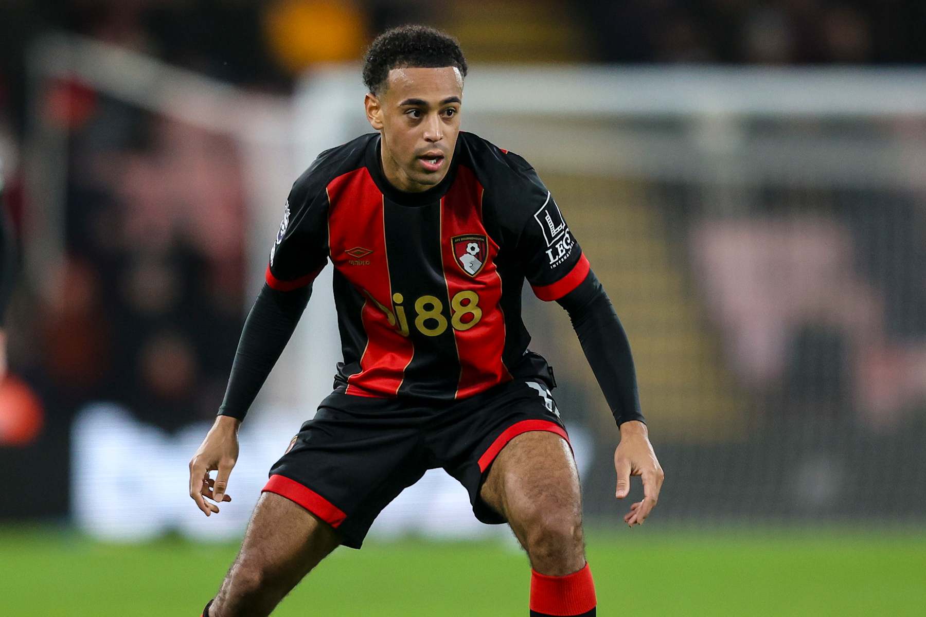 BOURNEMOUTH, ENGLAND - NOVEMBER 23: Tyler Adams of Bournemouth during the Premier League match between AFC Bournemouth and Brighton & Hove Albion FC at Vitality Stadium on November 23, 2024 in Bournemouth, England. (Photo by Robin Jones - AFC Bournemouth/AFC Bournemouth via Getty Images)