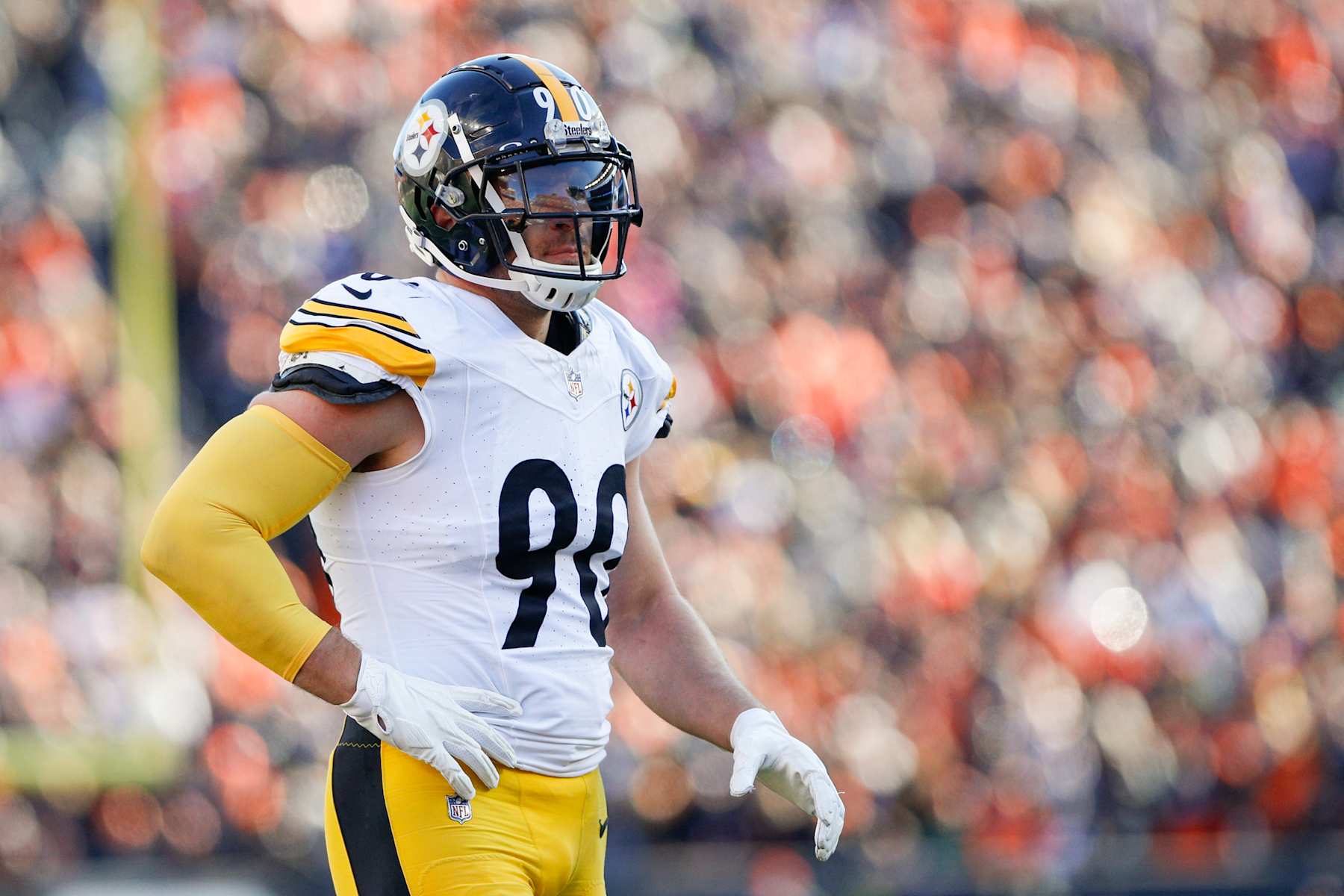 T.J. Watt