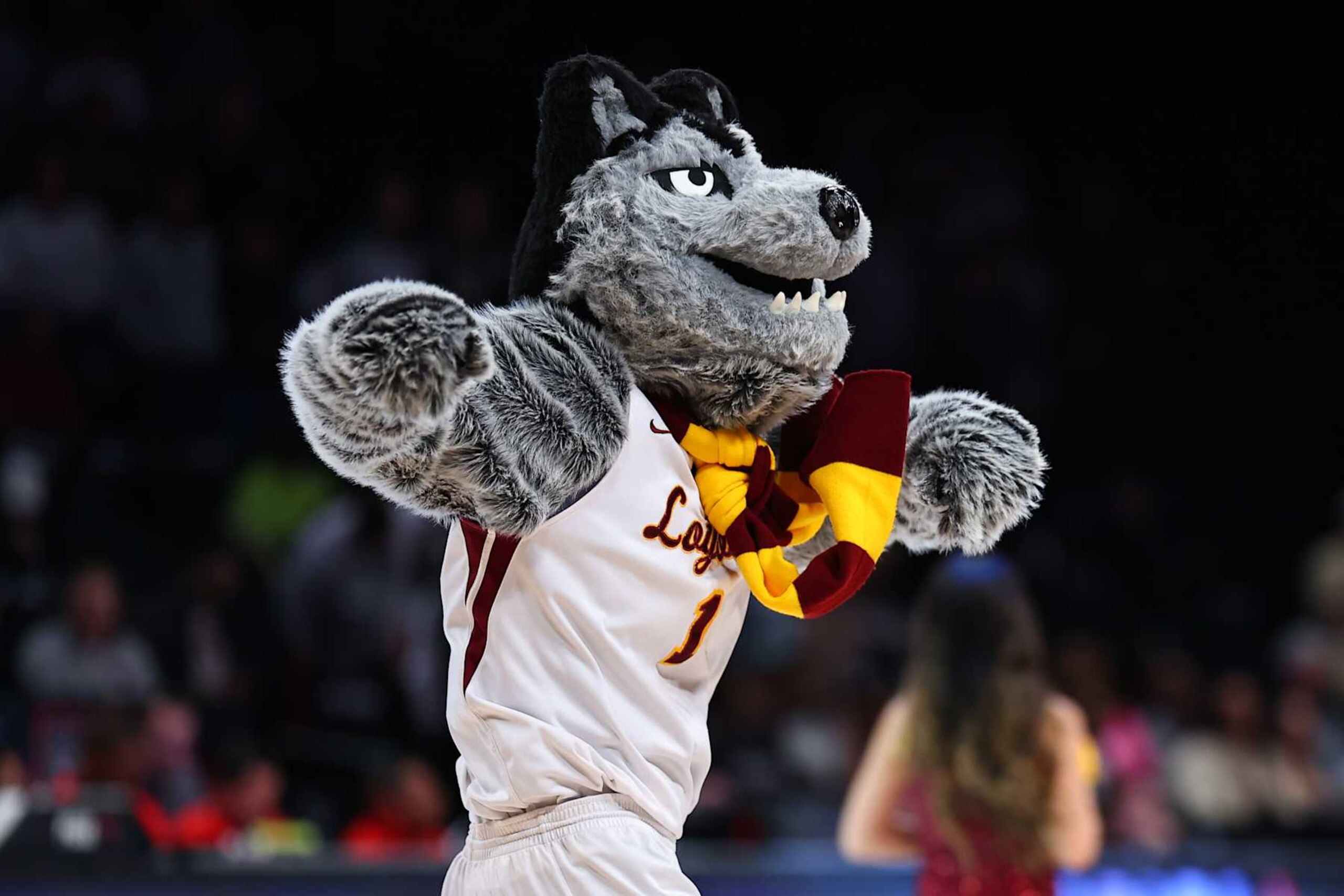 BROOKLYN, NY - MARCH 14: The Loyola (Il) Ramblers mascot Lu Wolf during the first half during the Atlantic 10 basketball tournament quarterfinal game against the St. Bonaventure Bonnies on March 14, 2024 at Barclays Center in Brooklyn, New York. (Photo by Rich Graessle/Icon Sportswire via Getty Images) BROOKLYN, NY - MARCH 14: The Loyola (Il) Ramblers mascot Lu Wolf during the first half during the Atlantic 10 basketball tournament quarterfinal game against the St. Bonaventure Bonnies on March 14, 2024 at Barclays Center in Brooklyn, New York. (Photo by Rich Graessle/Icon Sportswire via Getty Images)