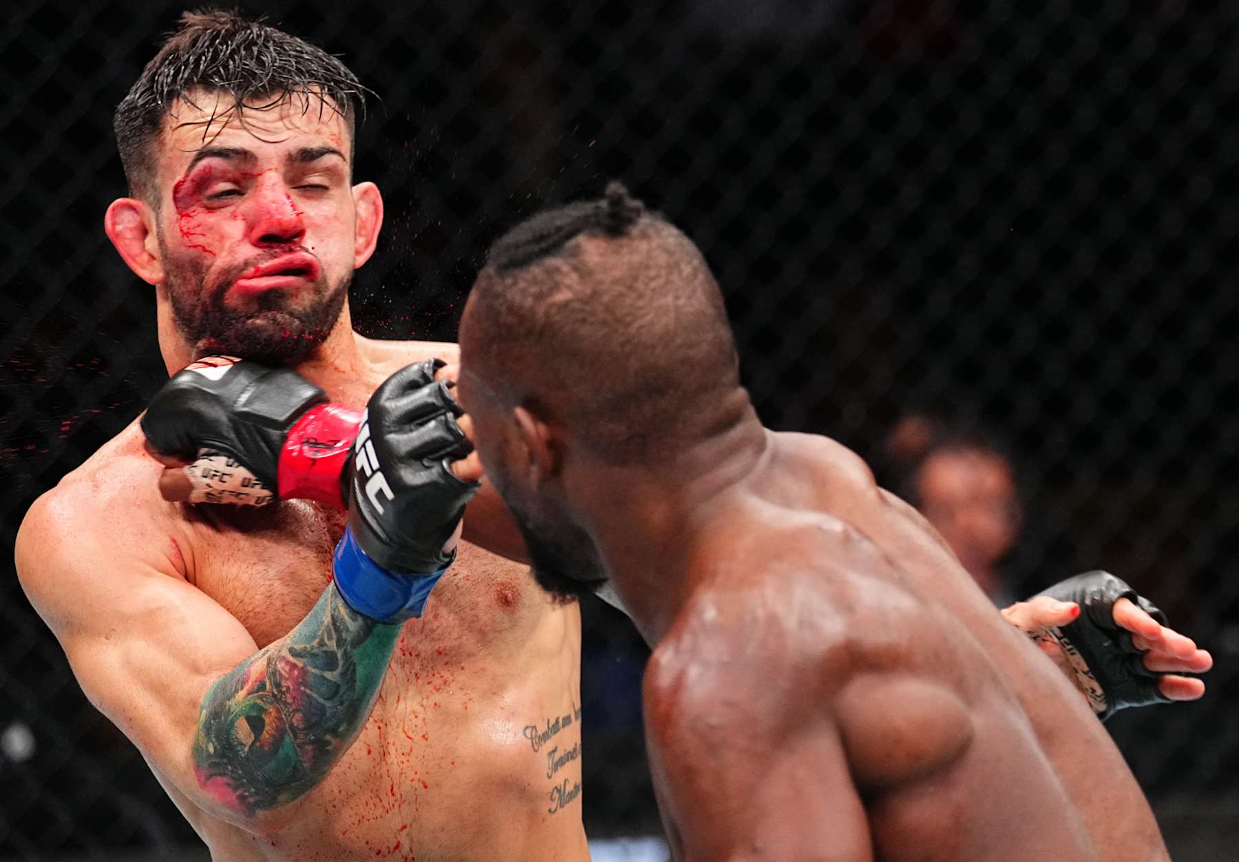 TAMPA, FLORIDA - DECEMBER 14: (R-L) Manel Kape of Angola punches Bruno Silva of Brazil in a flyweight fight during the UFC Fight Night event at Amalie Arena on December 14, 2024 in Tampa, Florida. (Photo by Chris Unger/Zuffa LLC)