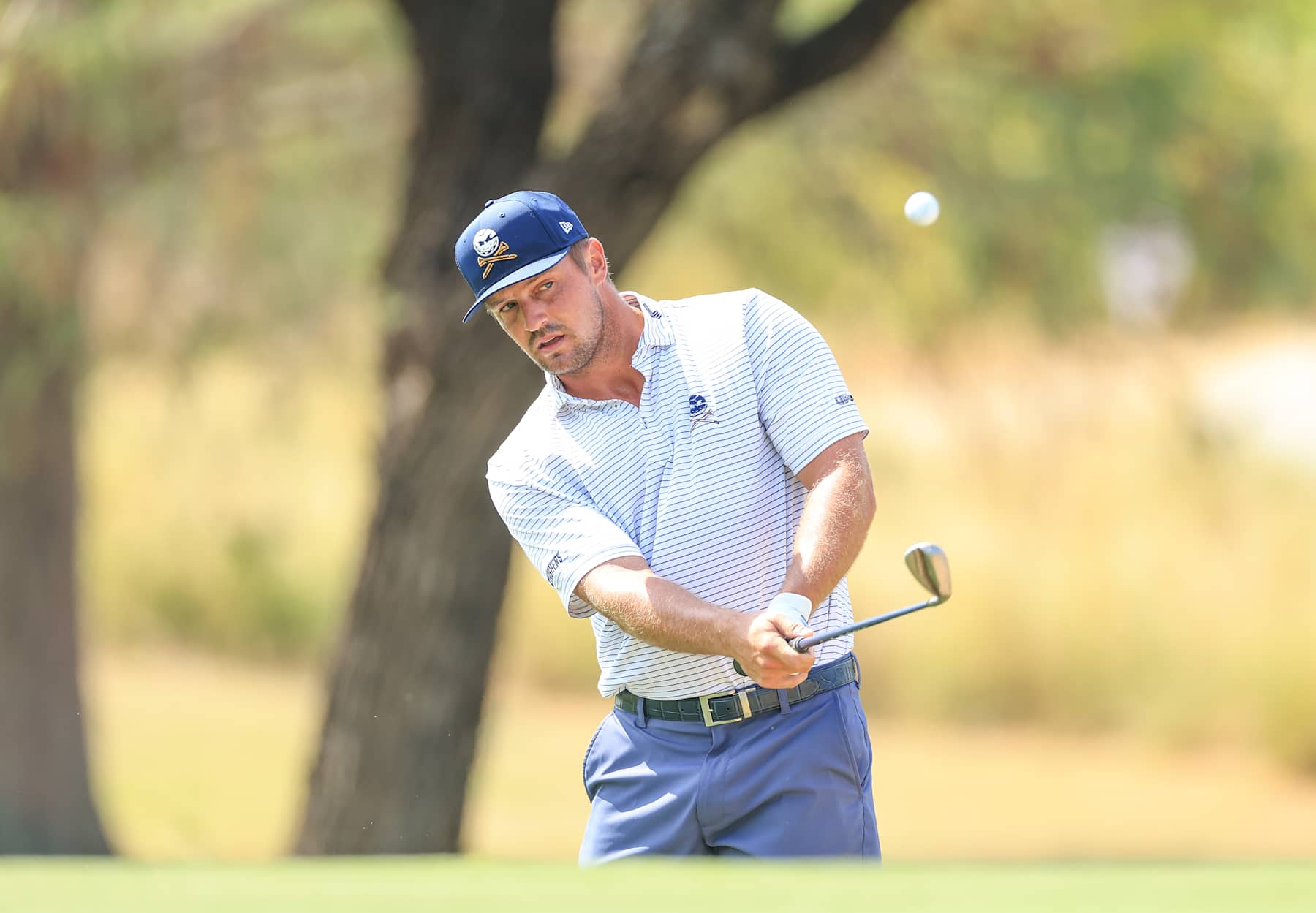 Bryson DeChambeau