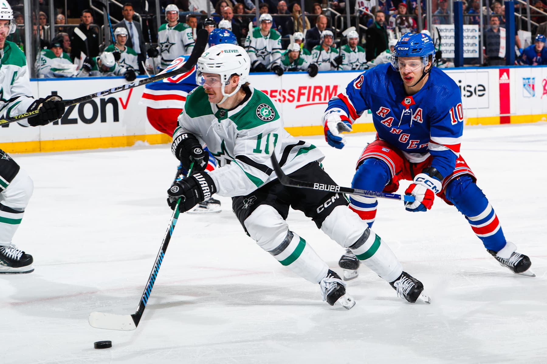 NEW YORK, NEW YORK - FEBRUARY 20: Logan Stankoven #11 of the Dallas Stars skates with the puck against Artemi Panarin #10 of the New York Rangers at Madison Square Garden on February 20, 2024 in New York City. (Photo by Jared Silber/NHLI via Getty Images)