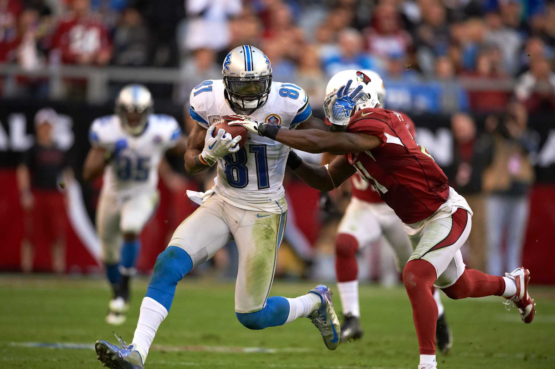 Football: Detroit Lions Calvin Johnson (81) in action after making catch vs Arizona Cardinals at University of Phoenix Stadium. Sequence.
Glendale, AZ 12/16/2012
CREDIT: John W. McDonough (Photo by John W. McDonough /Sports Illustrated via Getty Images)
(Set Number: X155946 TK1 R5 F601 )