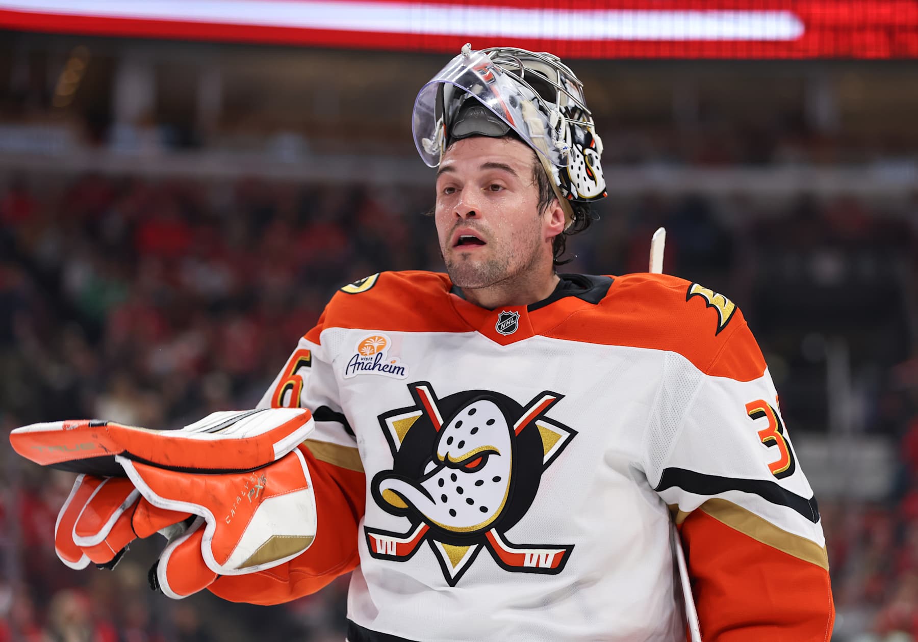 Anaheim Ducks goalie John Gibson