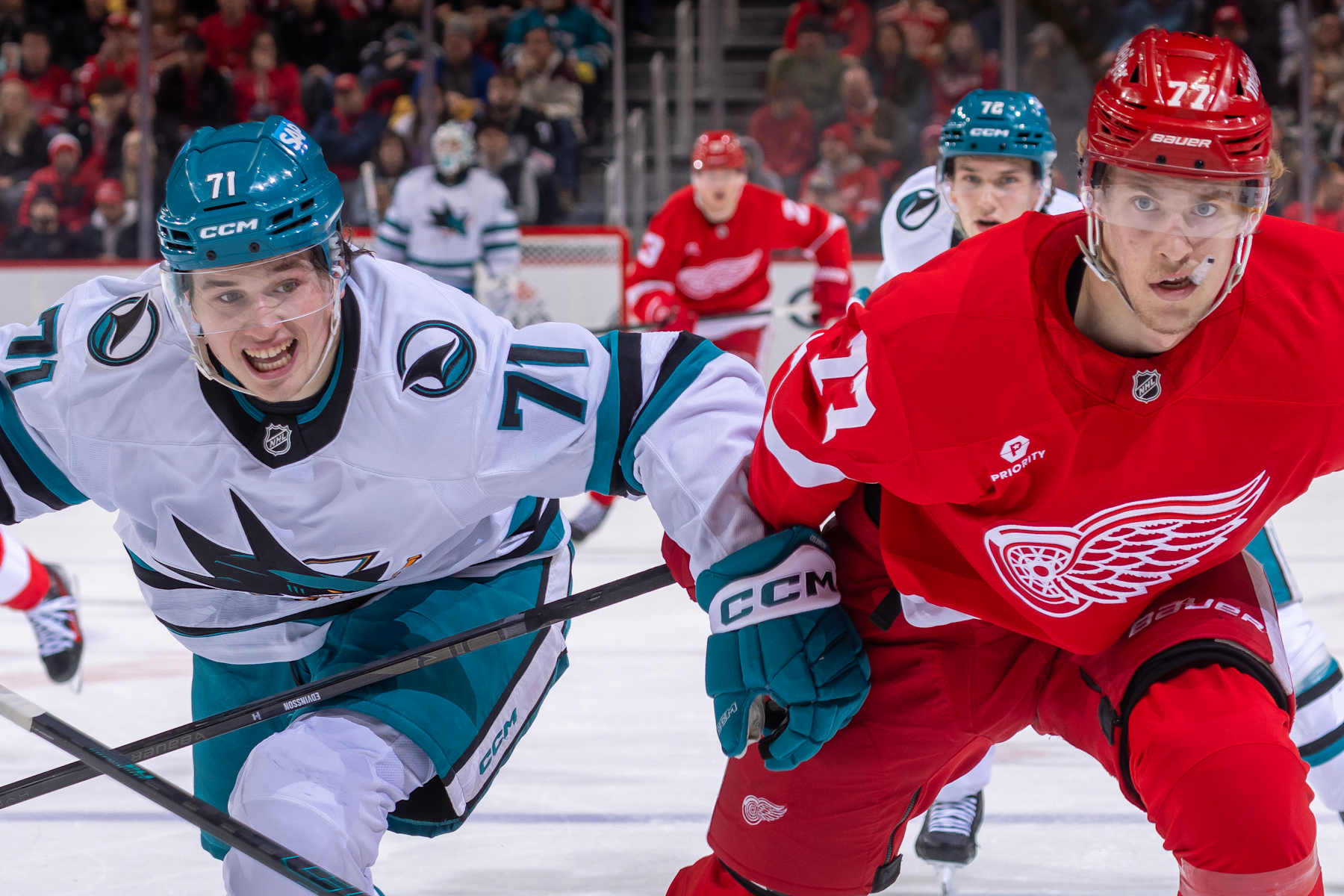 DETROIT, MICHIGAN - JANUARY 14: Macklin Celebrini #71 of the San Jose Sharks skates up ice next to Simon Edvinsson #77 of the Detroit Red Wings during the second period at Little Caesars Arena on January 14, 2025 in Detroit, Michigan. (Photo by Dave Reginek/NHLI via Getty Images)