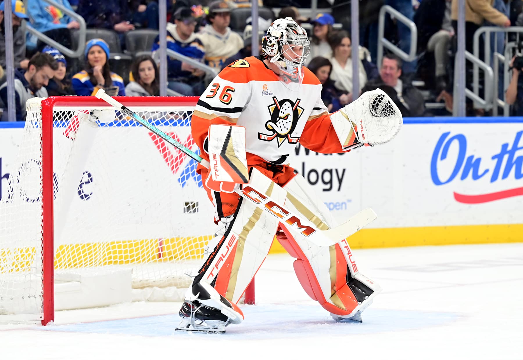 ST. LOUIS, MO - JANUARY 09: Anaheim Ducks goaltender John Gibson (36) as seen after replacing Anaheim Ducks goaltender Lukas Dostal (1) during a NHL game between the Anaheim Ducks and the St. Louis Blues, on January 09, 2025, at Enterprise Center, St. Louis, MO. (Photo by Keith Gillett/IconSportswire)