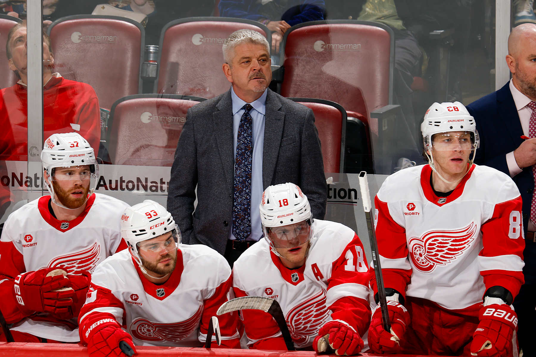 SUNRISE, FL - JANUARY 16: Head coach Todd McLellan of the Detroit Red Wings looks on during third period action against the Florida Panthers at the Amerant Bank Arena on January 16, 2025 in Sunrise, Florida. (Photo by Joel Auerbach/Getty Images)