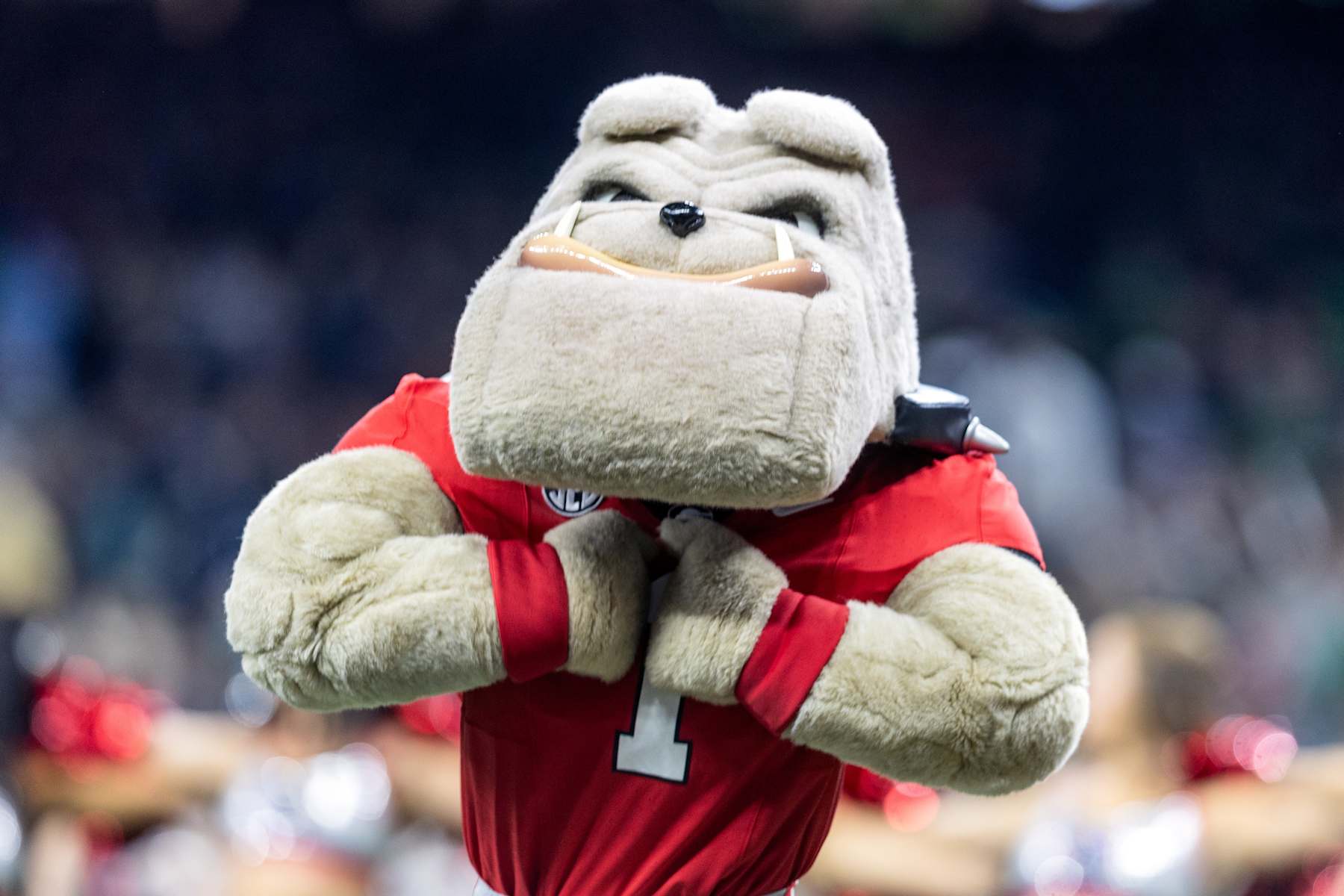 NEW ORLEANS, LA - JANUARY 02: Georgia mascot "Harry Dawg" before the Notre Dame Fighting Irish versus the Georgia Bulldogs College Football Playoff Quarterfinal at the Allstate Sugar Bowl on January 02, 2025, at the Caesars Superdome in New Orleans, Louisiana. (Photo by John Korduner/Icon Sportswire via Getty Images)