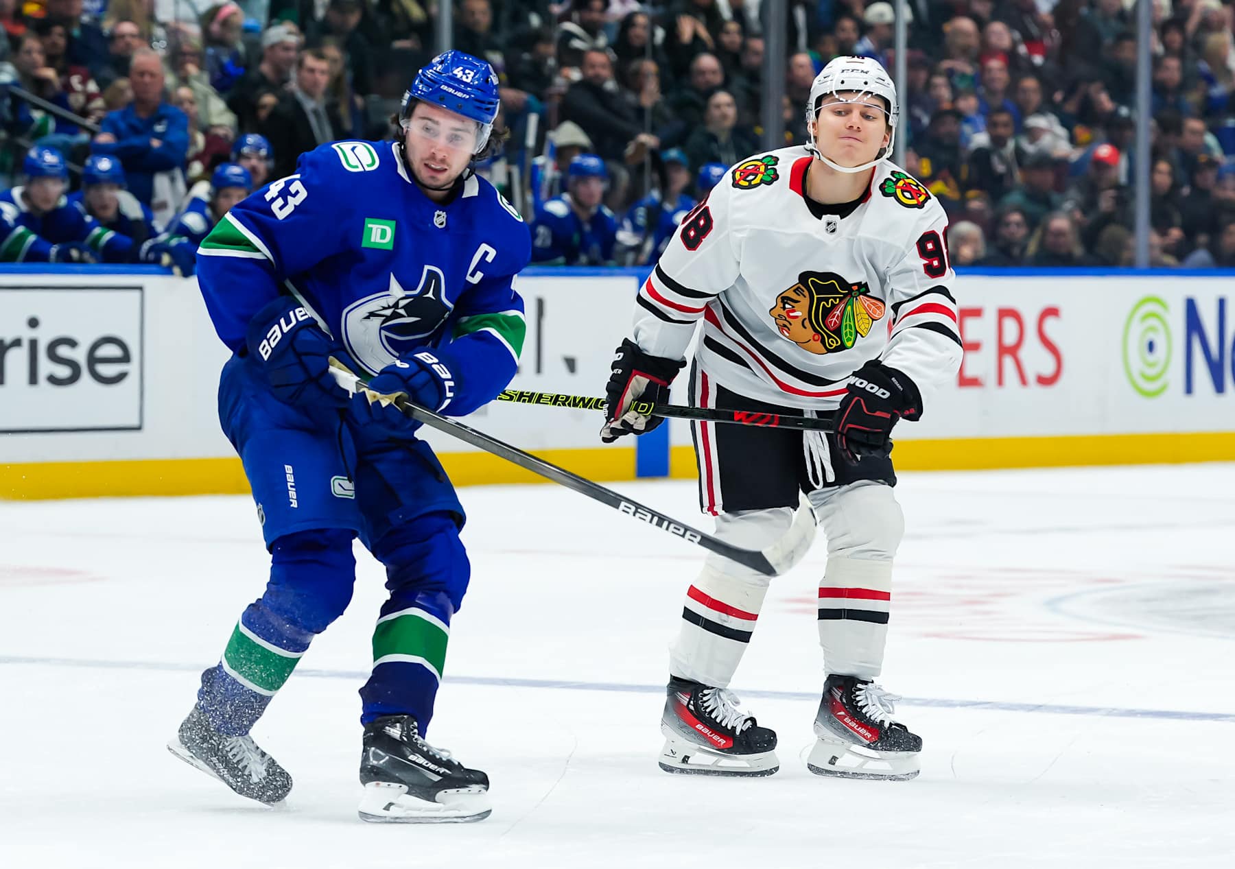 VANCOUVER, CANADA - NOVEMBER 16: Connor Bedard #98 of the Chicago Blackhawks is checked by Quinn Hughes #43 of the Vancouver Canucks during the second period of their NHL game at Rogers Arena on November 16, 2024 in Vancouver, British Columbia, Canada. (Photo by Derek Cain/Getty Images)