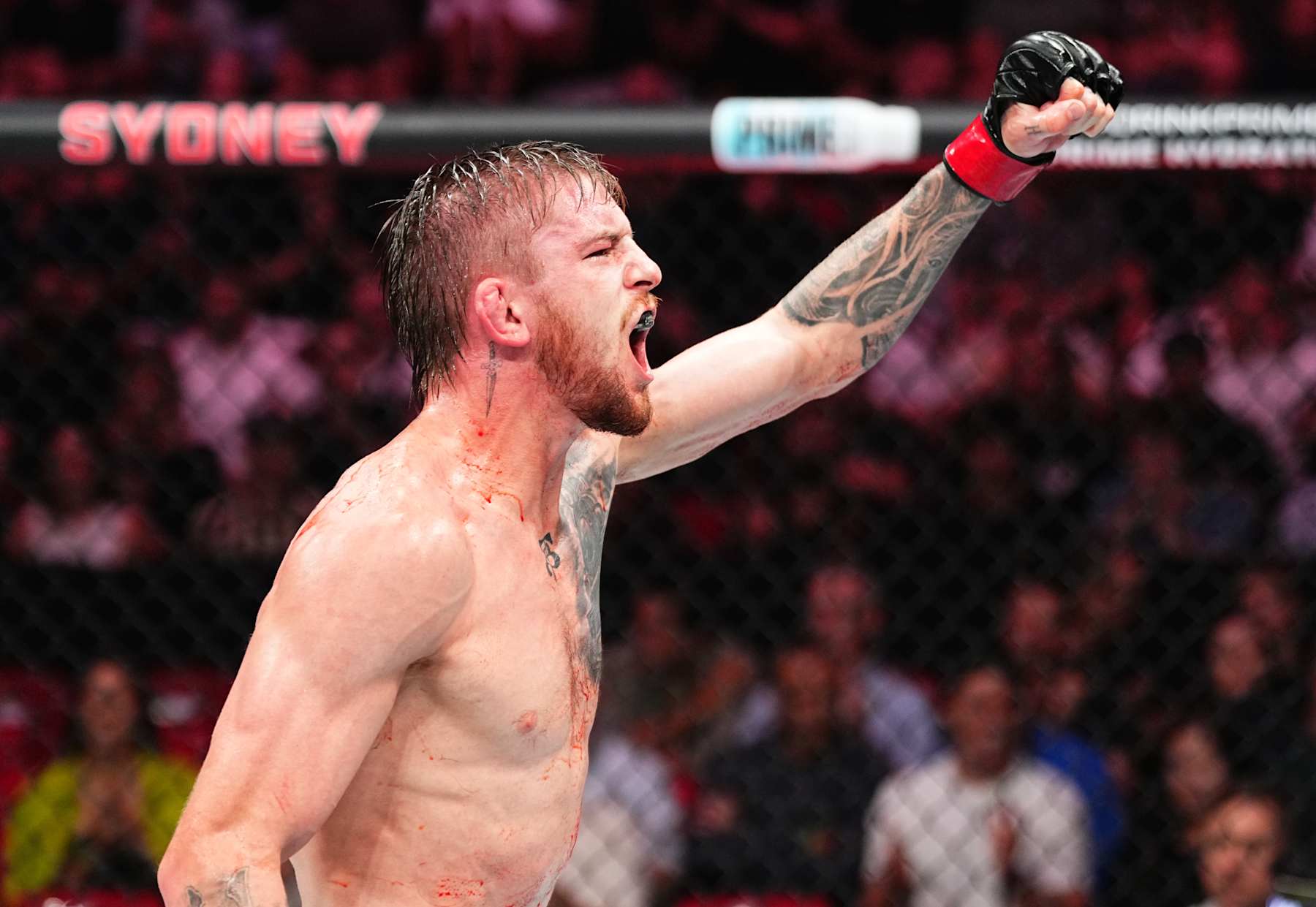 SYDNEY, AUSTRALIA - FEBRUARY 09: Tom Nolan of Australia reacts after a lightweight fight against Viacheslav Borshchev of Russia during the UFC 312 event at Qudos Bank Arena on February 09, 2025 in Sydney, Australia. (Photo by Jeff Bottari/Zuffa LLC)