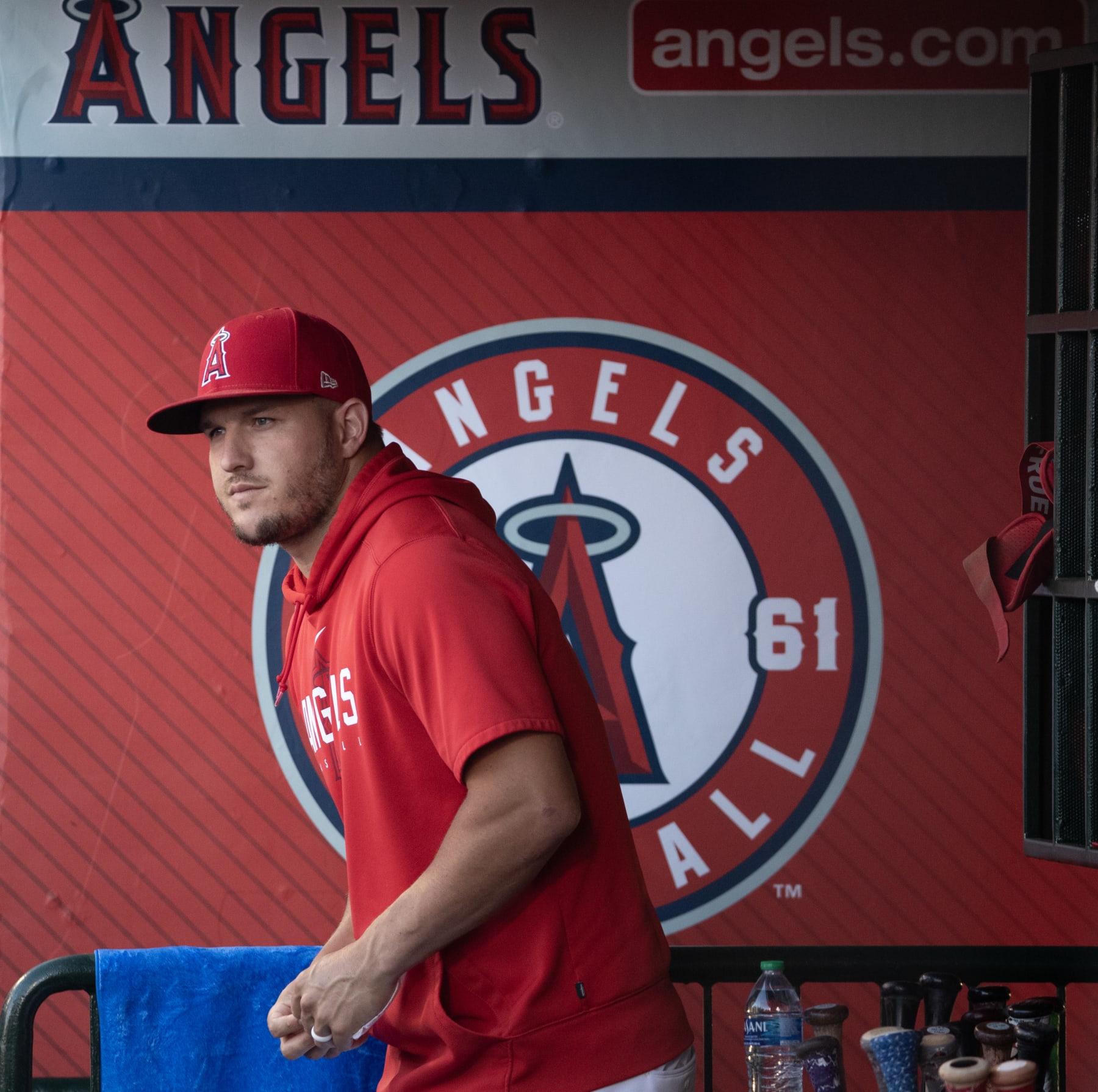 Mike Trout