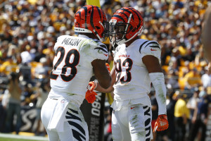 Chad Johnson of the Cincinnati Bengals wears his jersey with 85