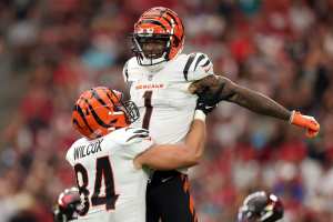 Bengals WR Tee Higgins suffered rib fracture vs. Titans, per report - A to  Z Sports